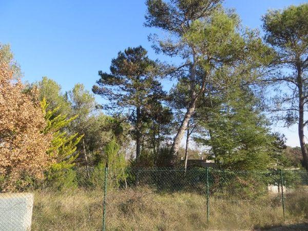 terrenys en porqueres ·  125000€