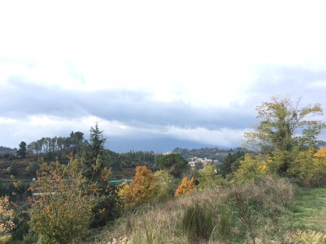 terrenos en sant-hilari-sacalm ·  65000€