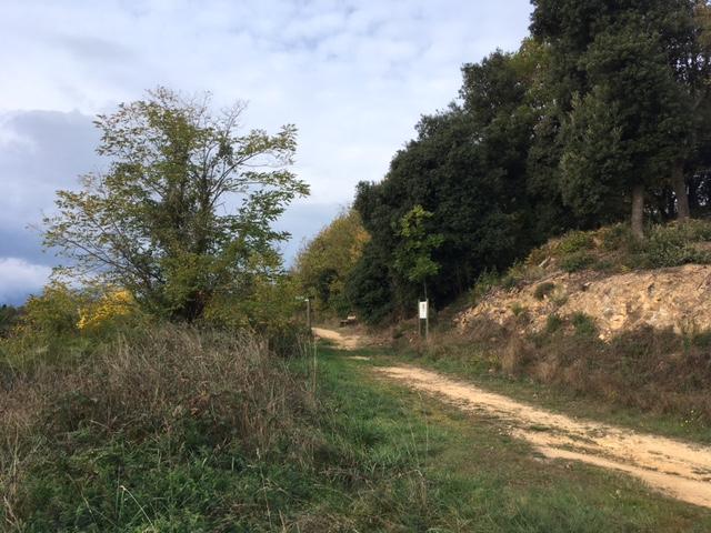 terrenos en sant-hilari-sacalm ·  65000€