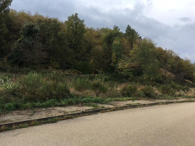 terrenos en sant-hilari-sacalm ·  65000€