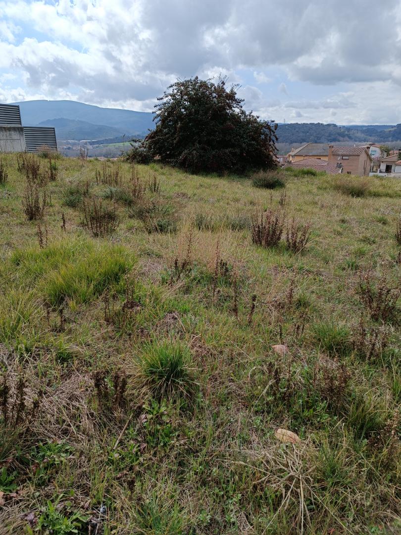 TURO DE LA MARE DE DEU