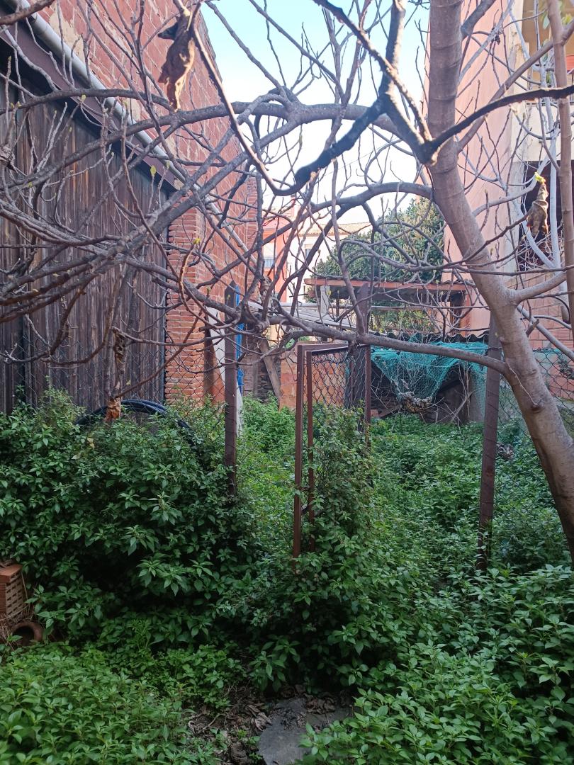 SANT ANTONI DE VILAMAJOR CENTRE