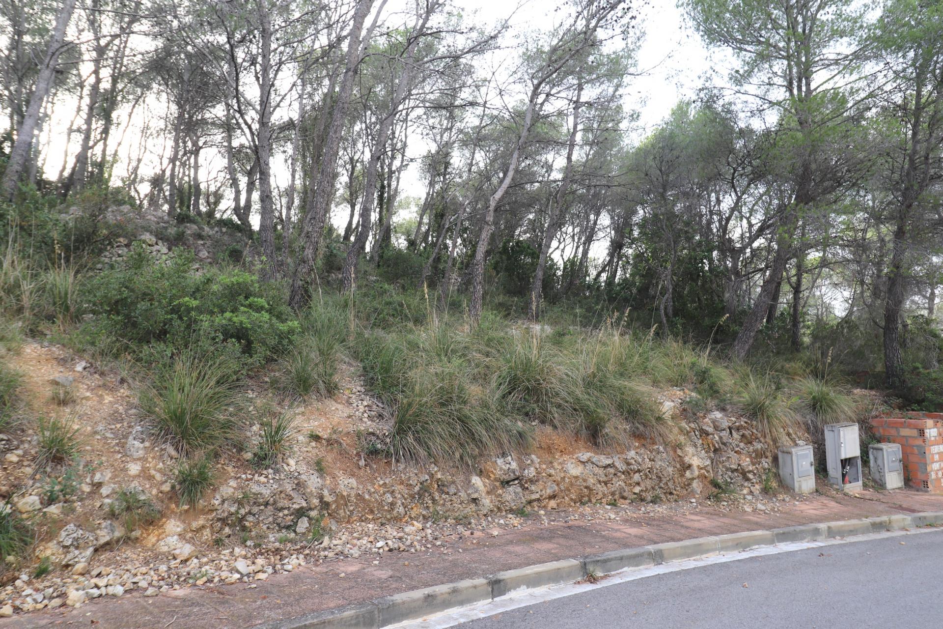 Parcela con vistas despejadas