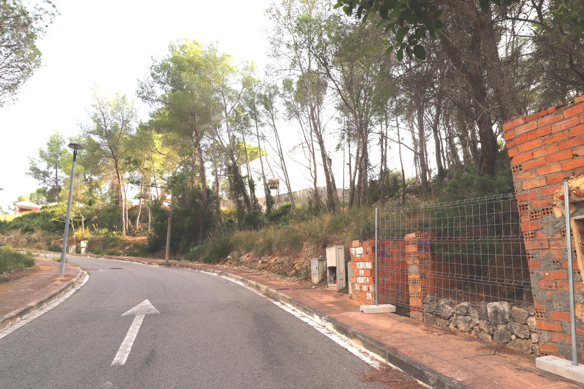 Parcela con vistas despejadas