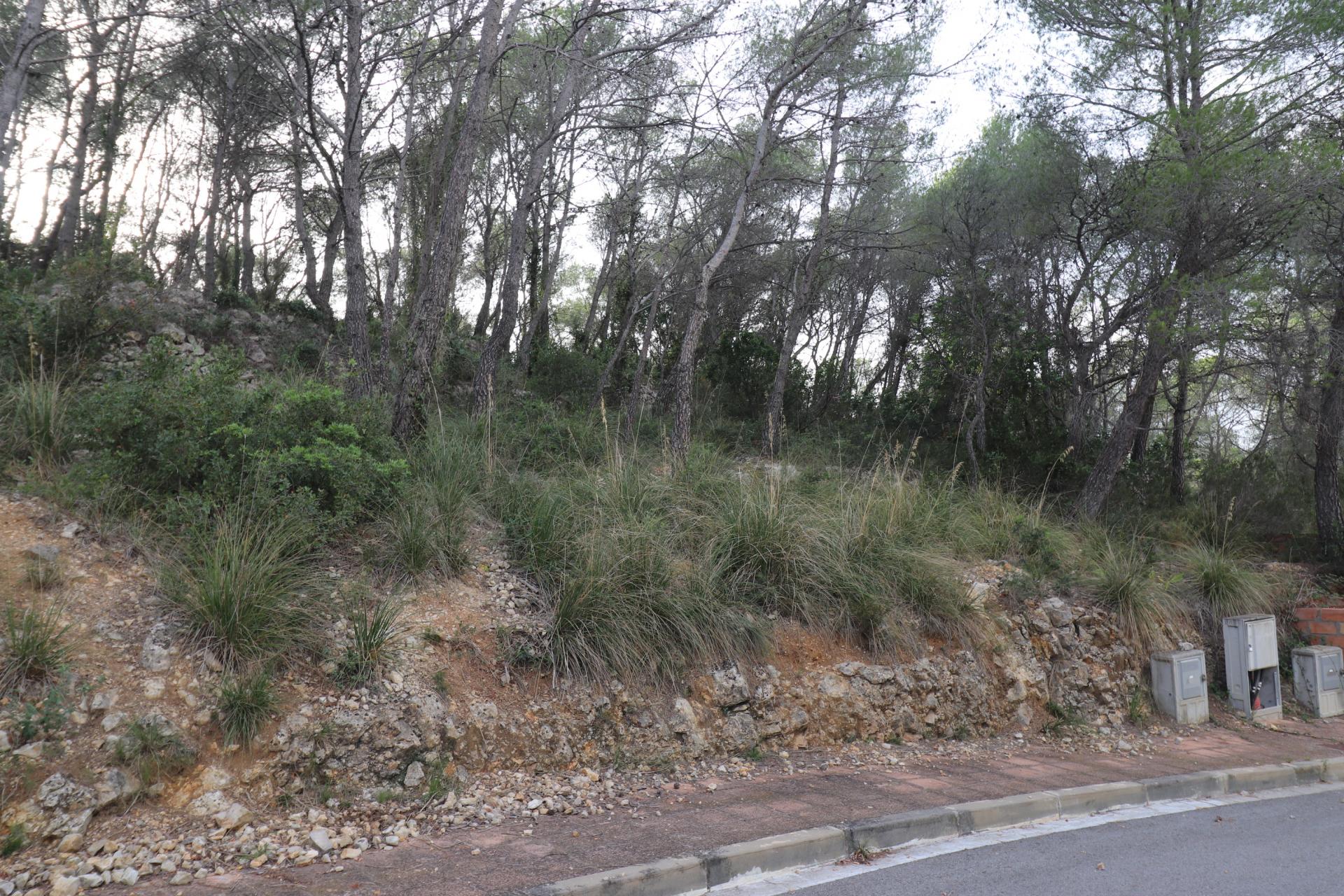 Parcela con vistas despejadas