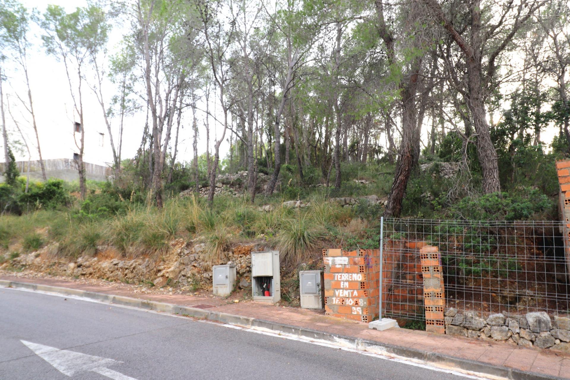 Parcela con vistas despejadas