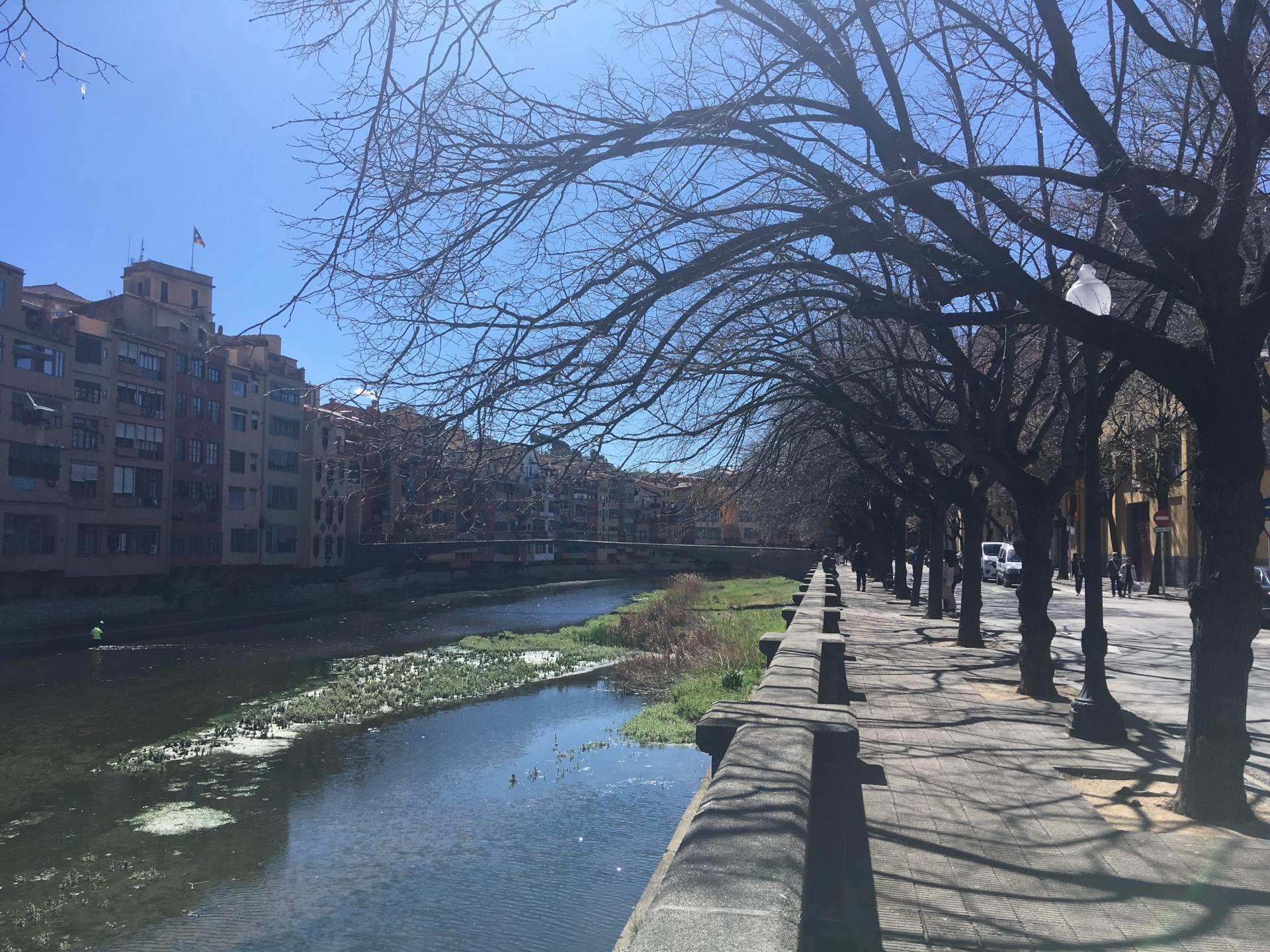 locals-comercials en girona · barri-vell €