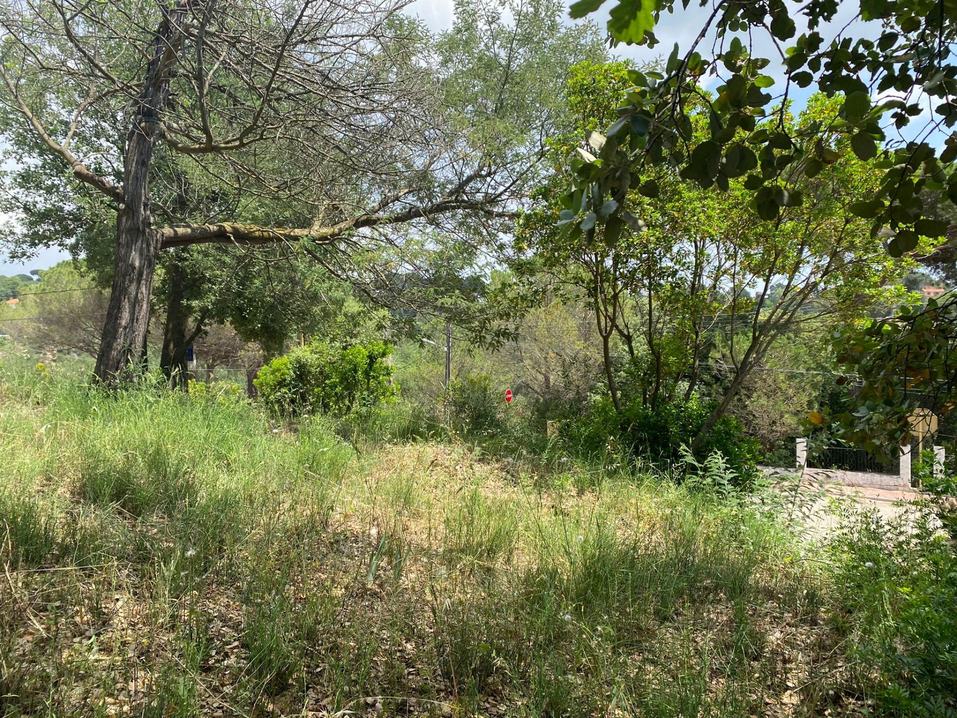 TERRENY CANTONER MOLT GRAN PER TORRE A QUATRE VENTS