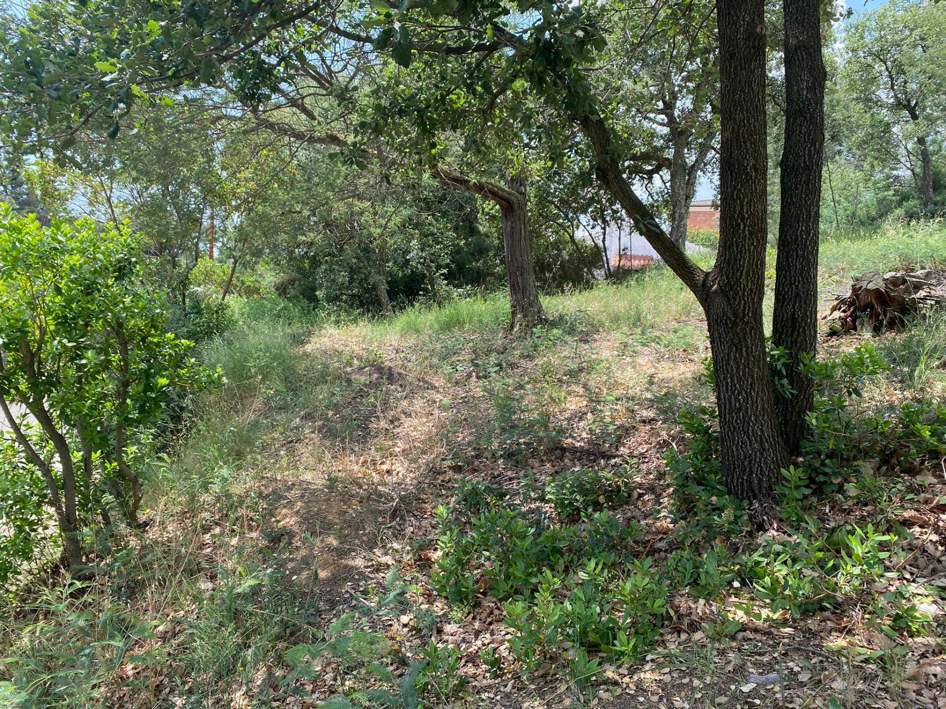 TERRENY CANTONER MOLT GRAN PER TORRE A QUATRE VENTS