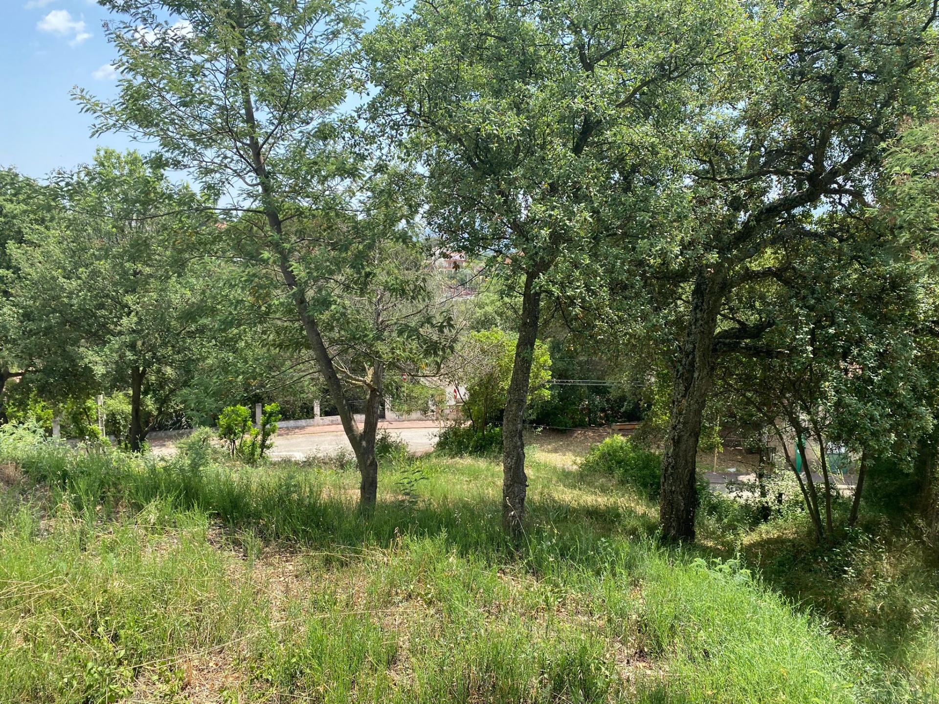 TERRENY CANTONER MOLT GRAN PER TORRE A QUATRE VENTS