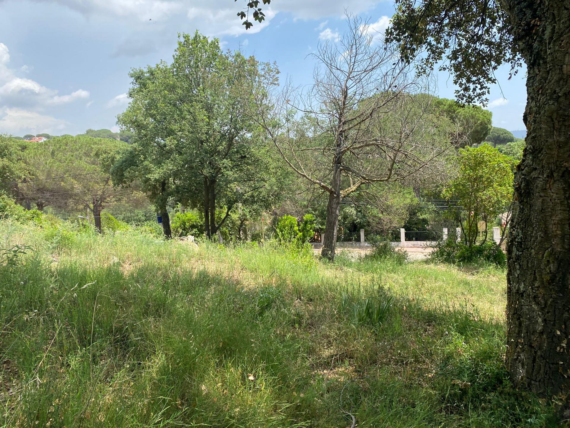 TERRENY CANTONER MOLT GRAN PER TORRE A QUATRE VENTS