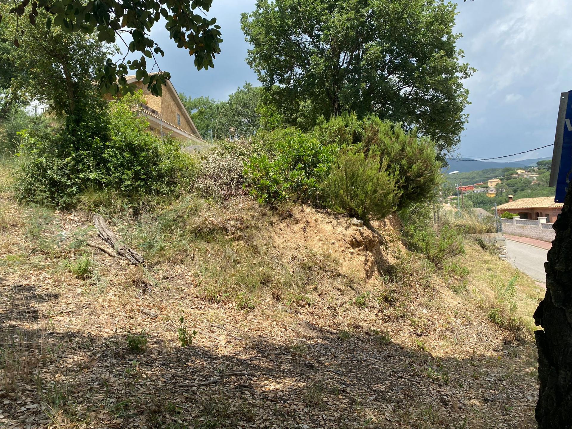 TERRENY CANTONER MOLT GRAN PER TORRE A QUATRE VENTS