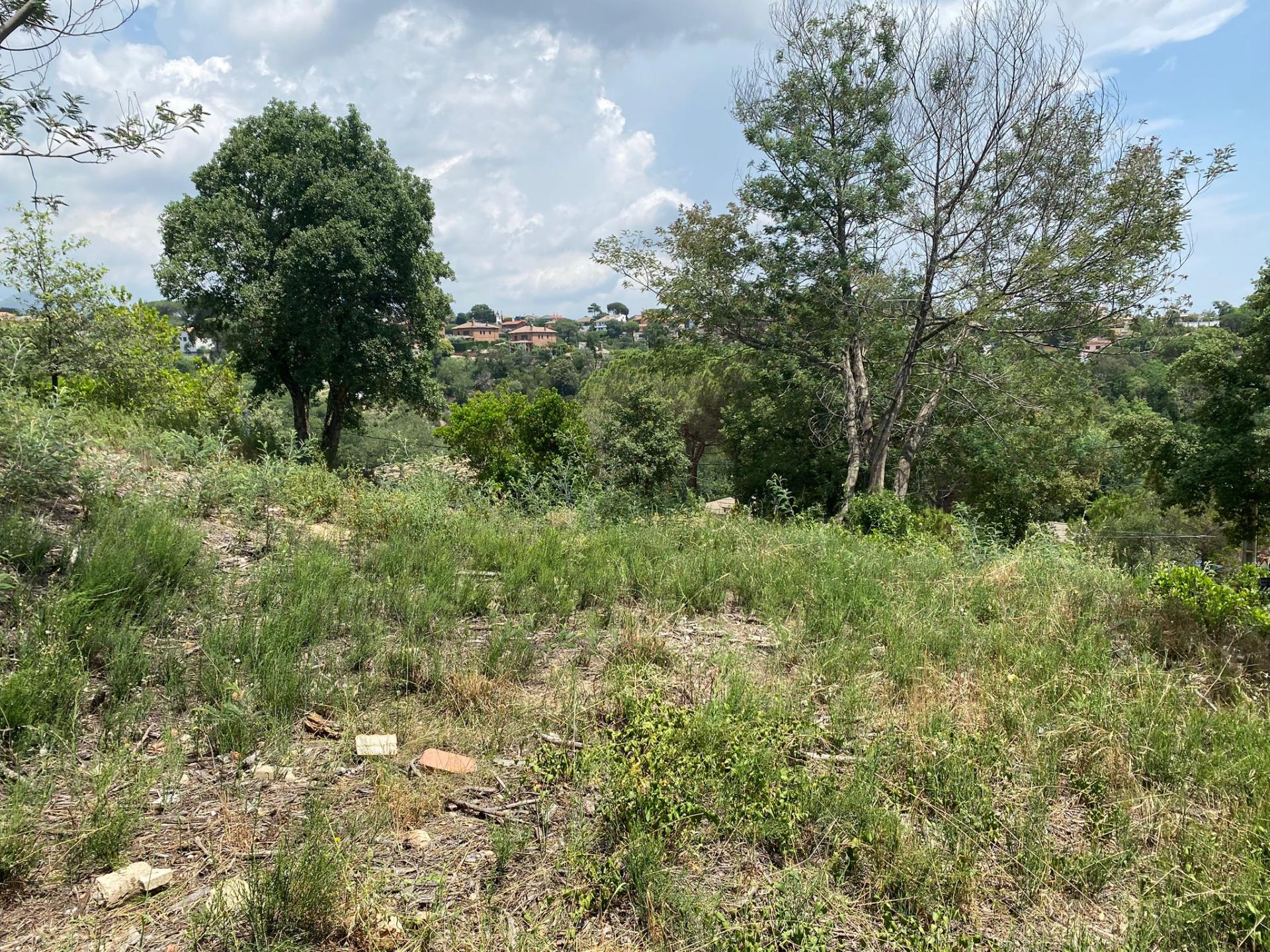 TERRENY CANTONER MOLT GRAN PER TORRE A QUATRE VENTS