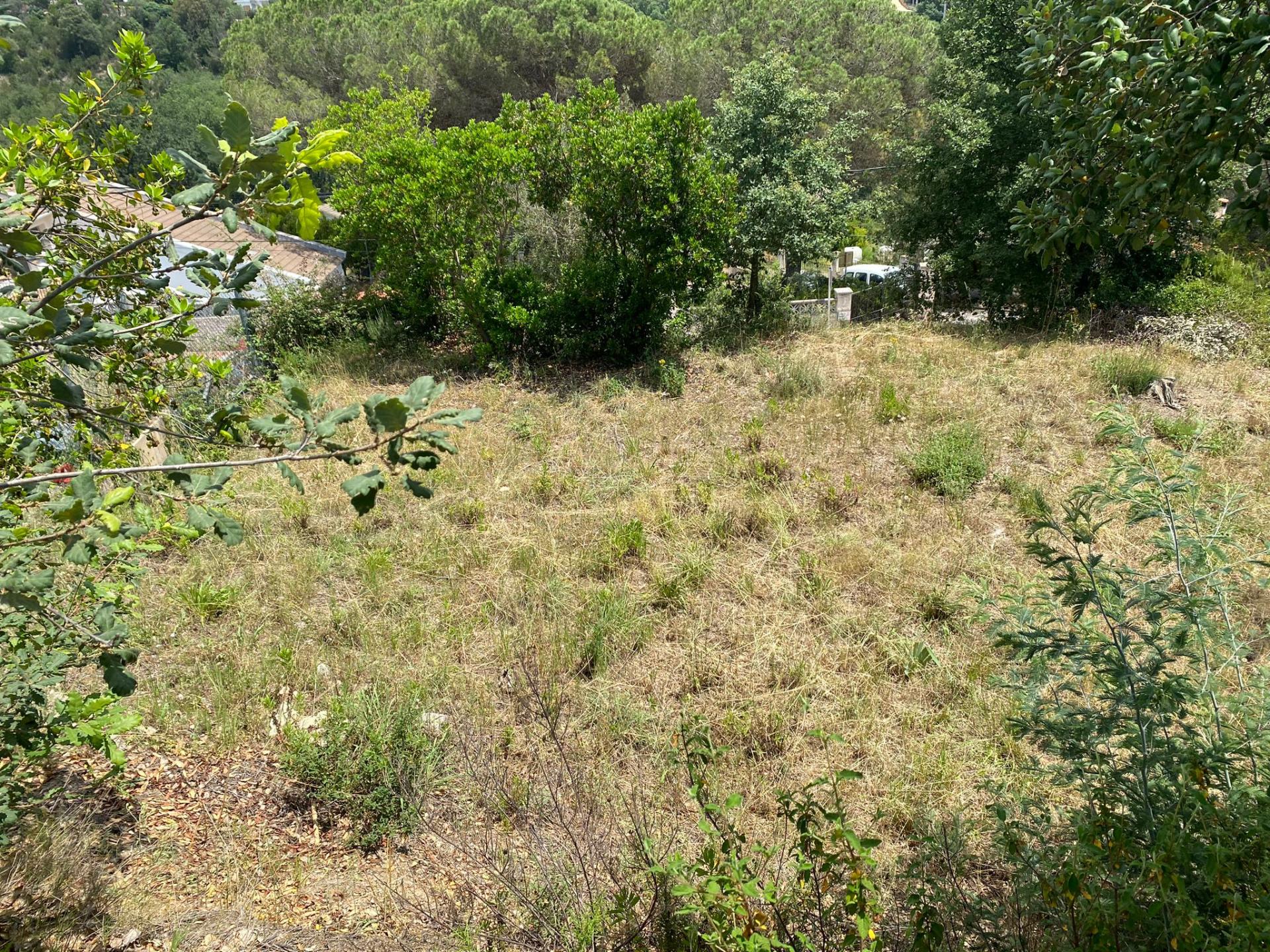 TERRENY CANTONER MOLT GRAN PER TORRE A QUATRE VENTS