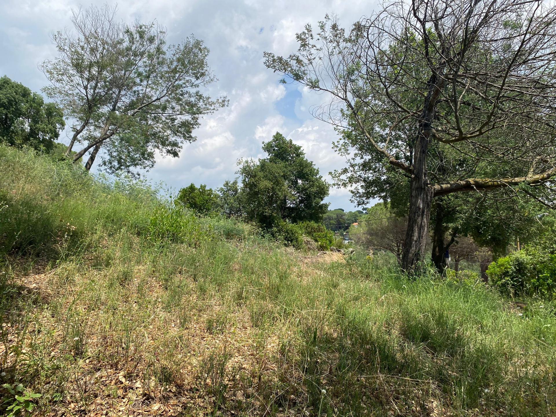 TERRENY CANTONER MOLT GRAN PER TORRE A QUATRE VENTS