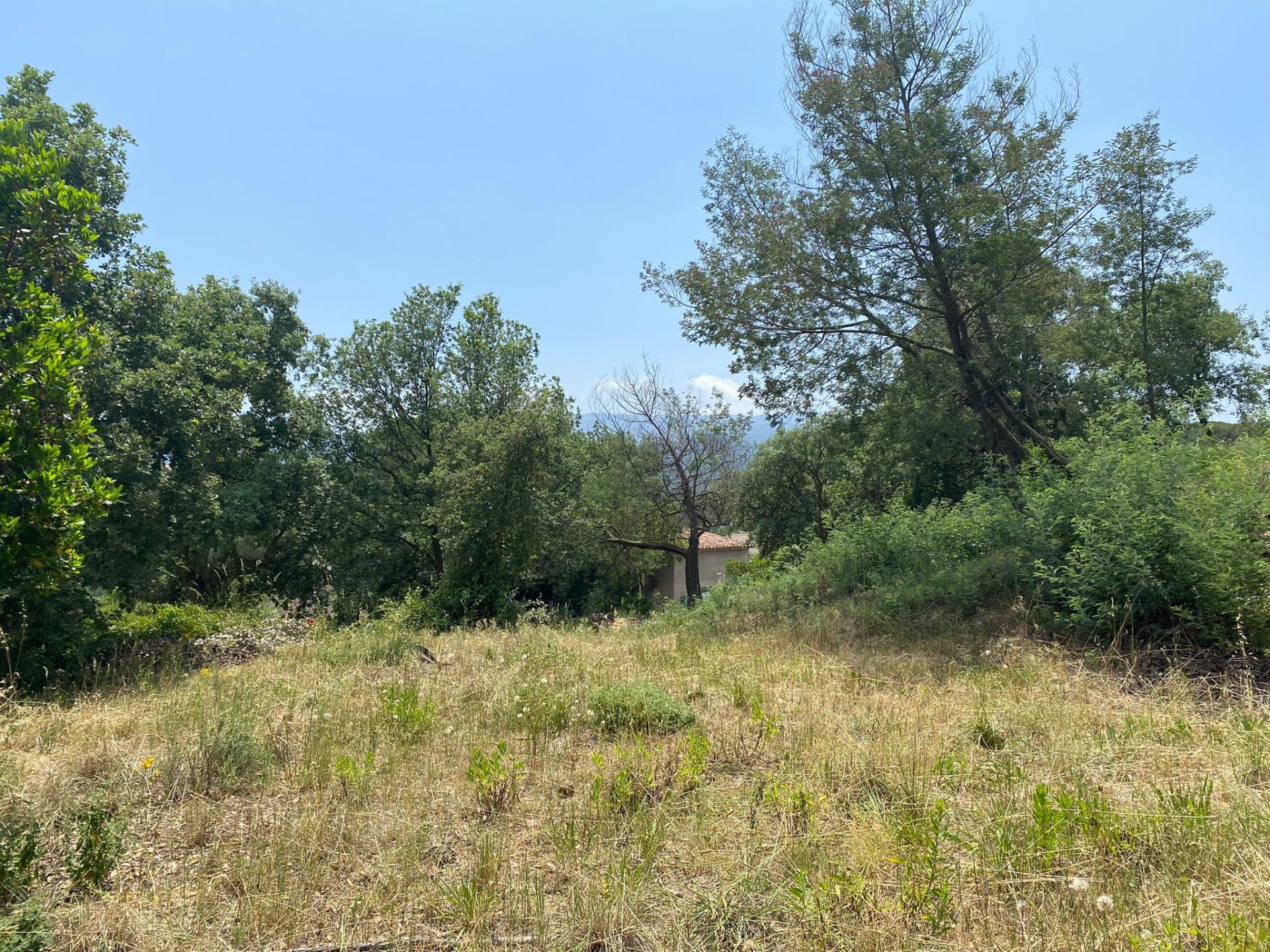 TERRENY CANTONER MOLT GRAN PER TORRE A QUATRE VENTS