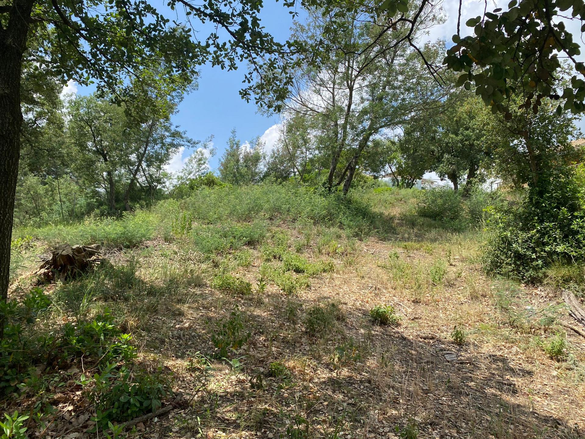 TERRENY CANTONER MOLT GRAN PER TORRE A QUATRE VENTS