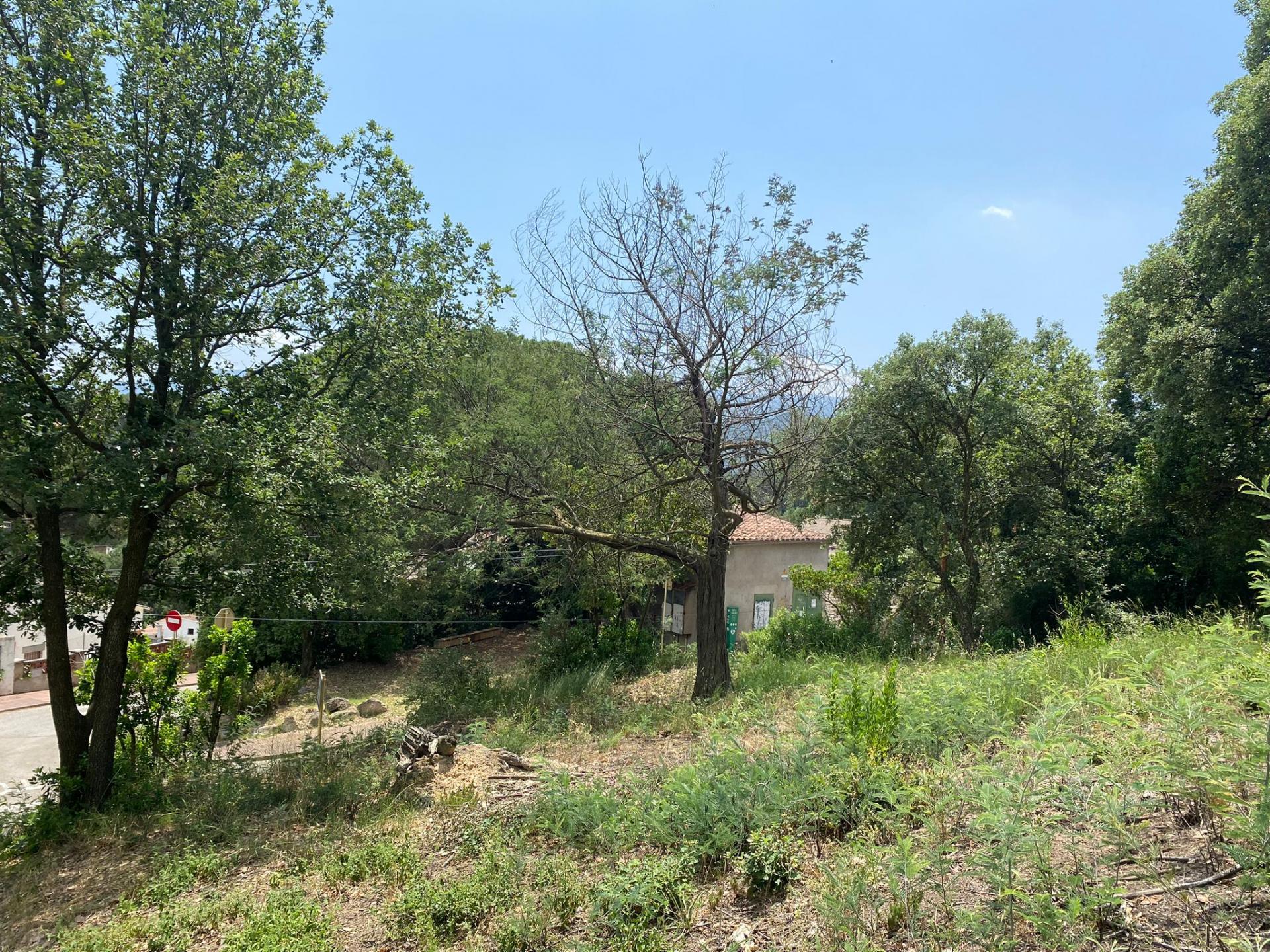 TERRENY CANTONER MOLT GRAN PER TORRE A QUATRE VENTS