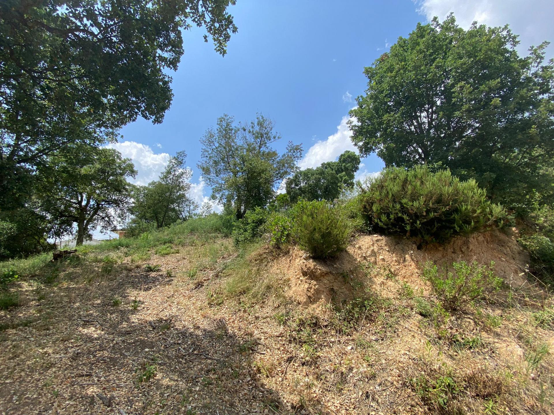 TERRENY CANTONER MOLT GRAN PER TORRE A QUATRE VENTS