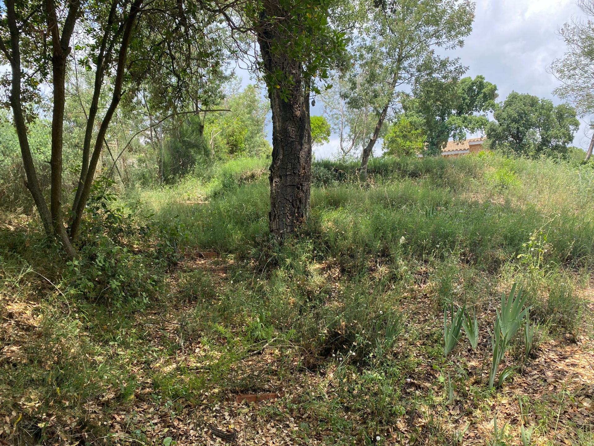 TERRENY CANTONER MOLT GRAN PER TORRE A QUATRE VENTS