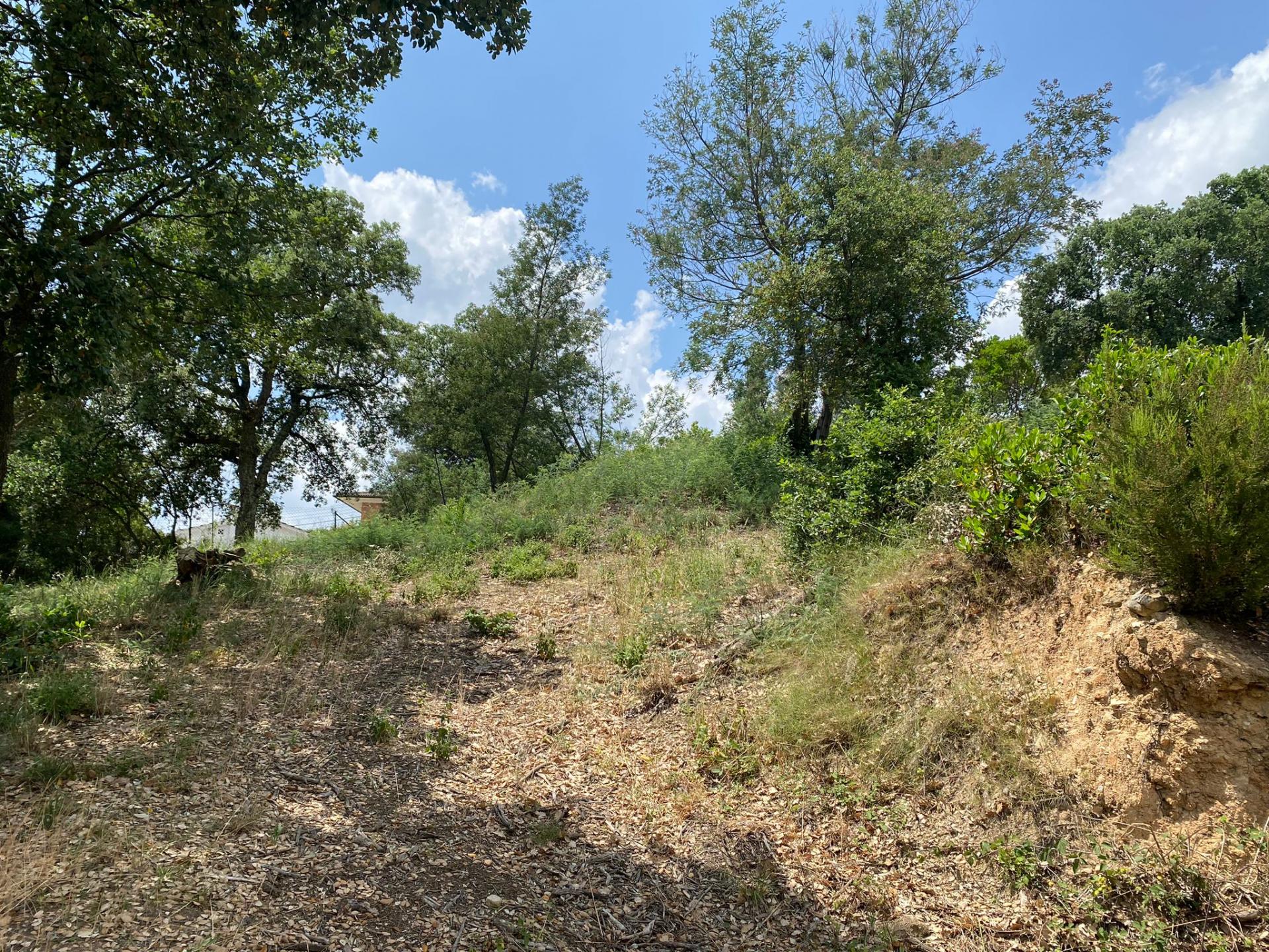 TERRENY CANTONER MOLT GRAN PER TORRE A QUATRE VENTS