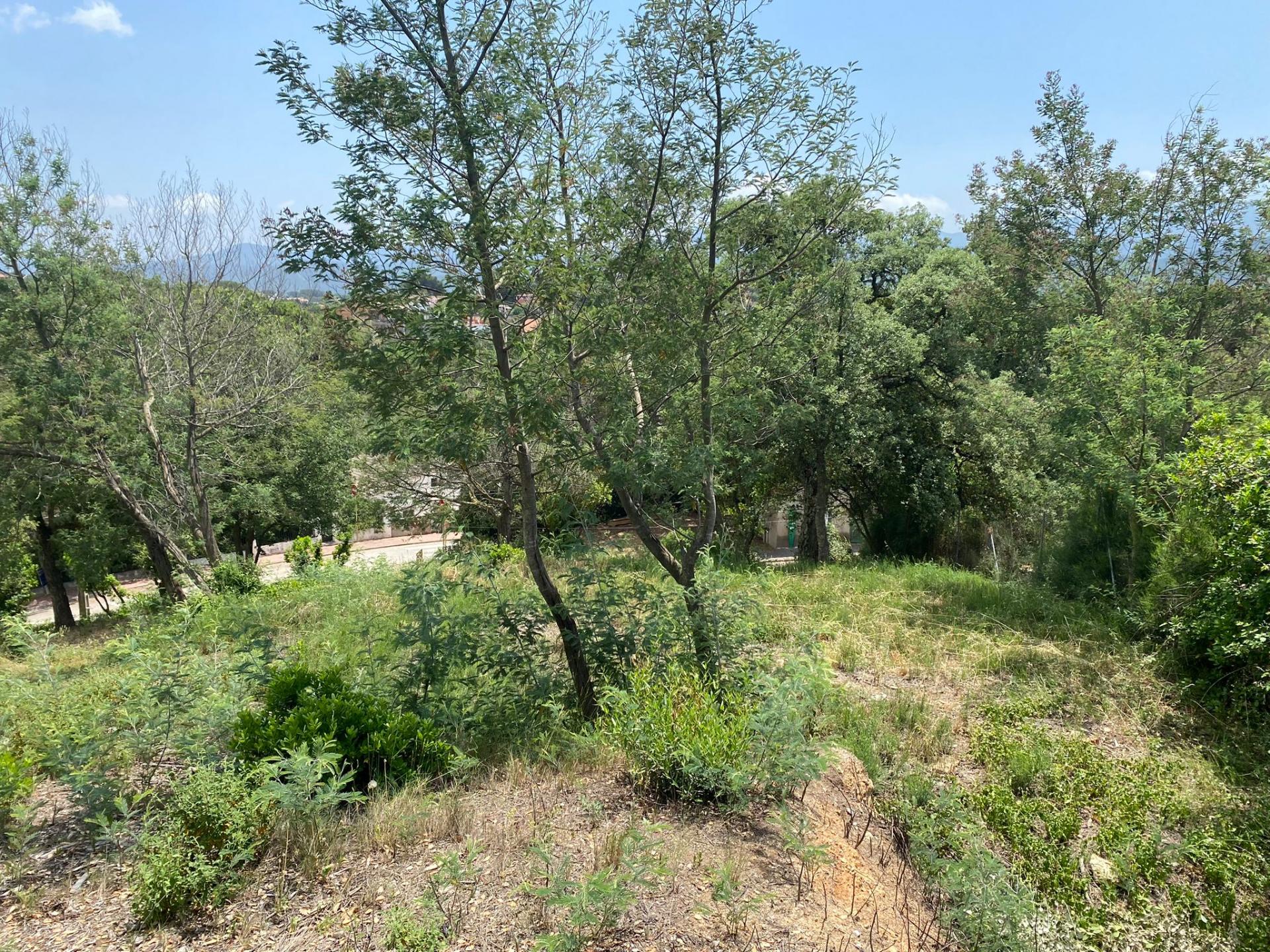 TERRENY CANTONER MOLT GRAN PER TORRE A QUATRE VENTS