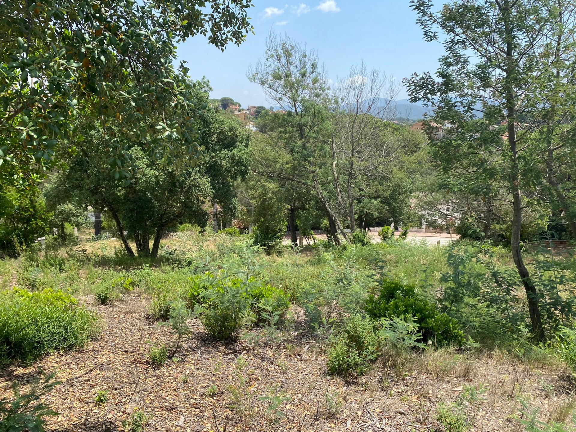 TERRENY CANTONER MOLT GRAN PER TORRE A QUATRE VENTS