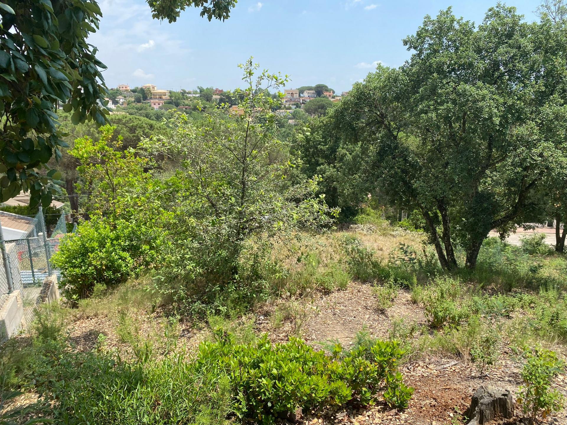 TERRENY CANTONER MOLT GRAN PER TORRE A QUATRE VENTS