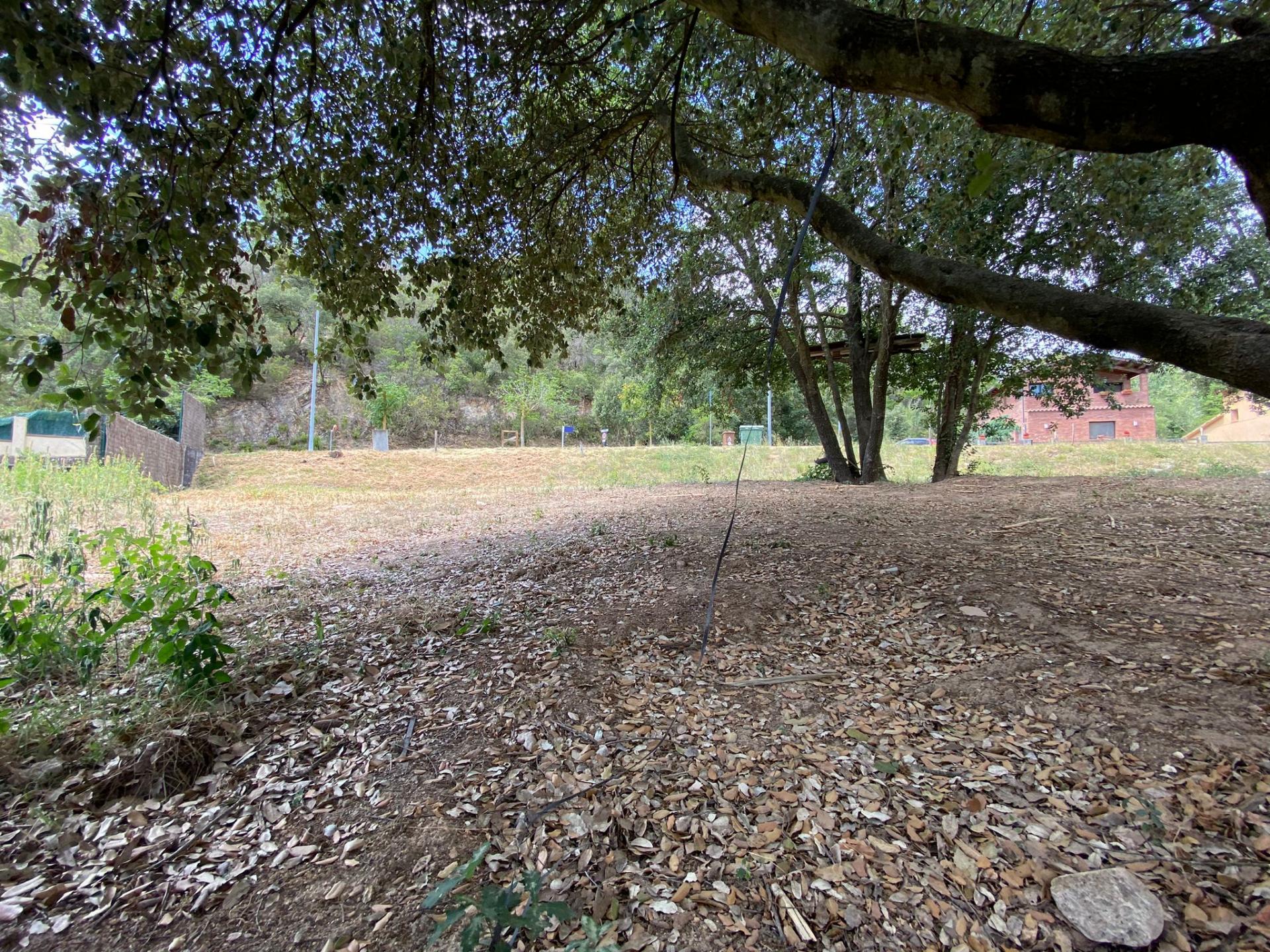 PARCEL·LA CANTONERA ORIENTADA AL MONTSENY