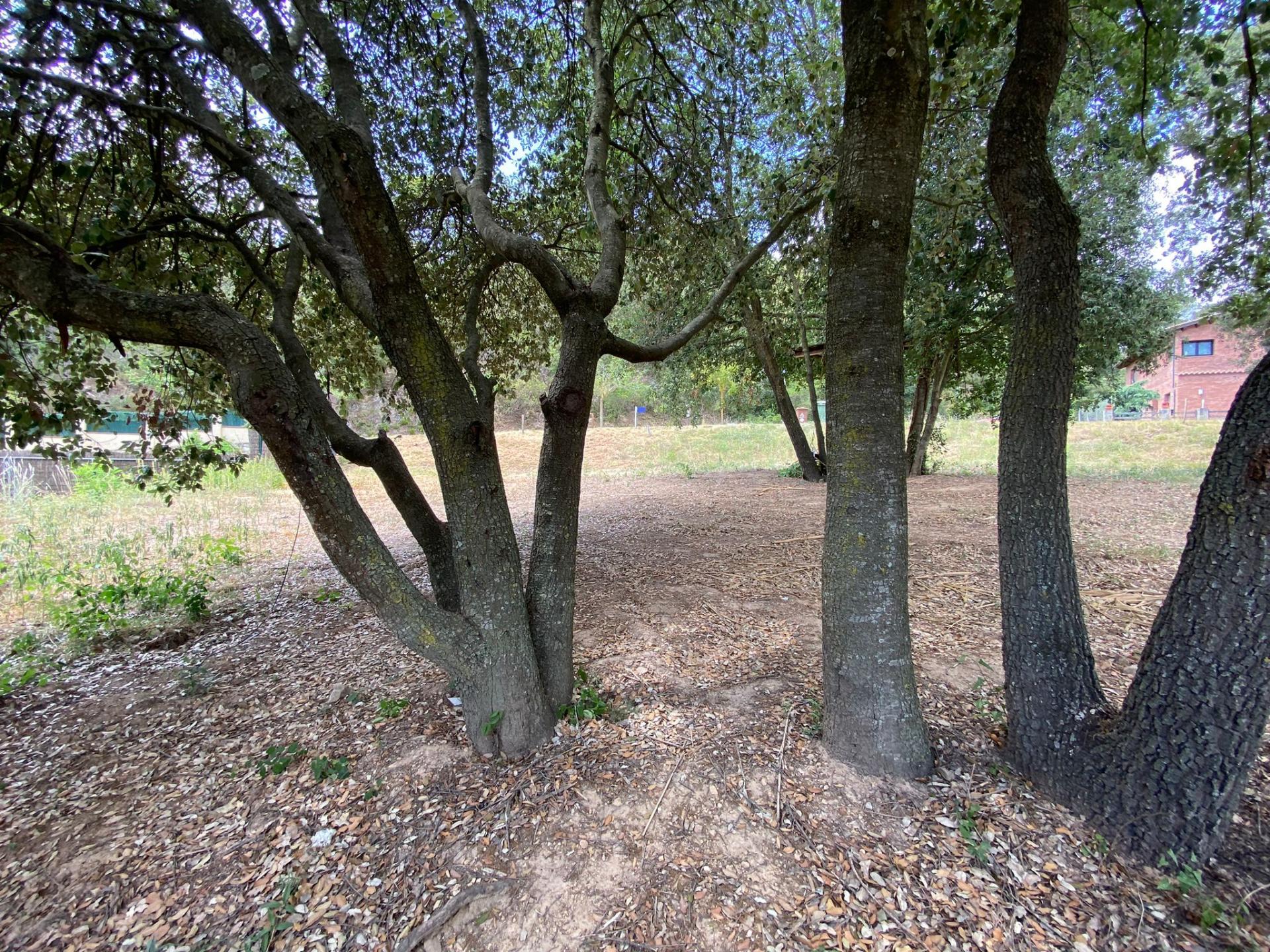 PARCEL·LA CANTONERA ORIENTADA AL MONTSENY