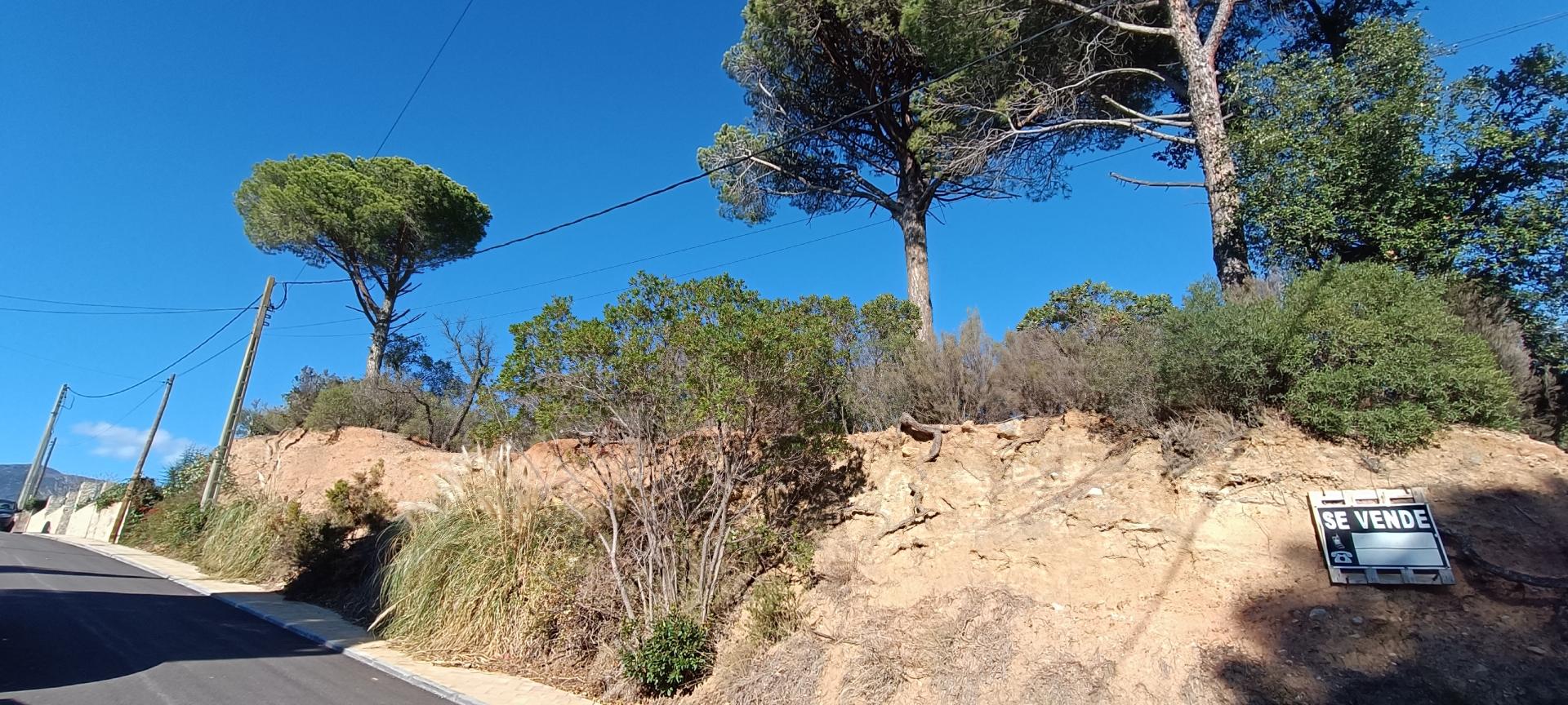 PARCEL·LA  AMB MOLT BONA ORIENTACIO