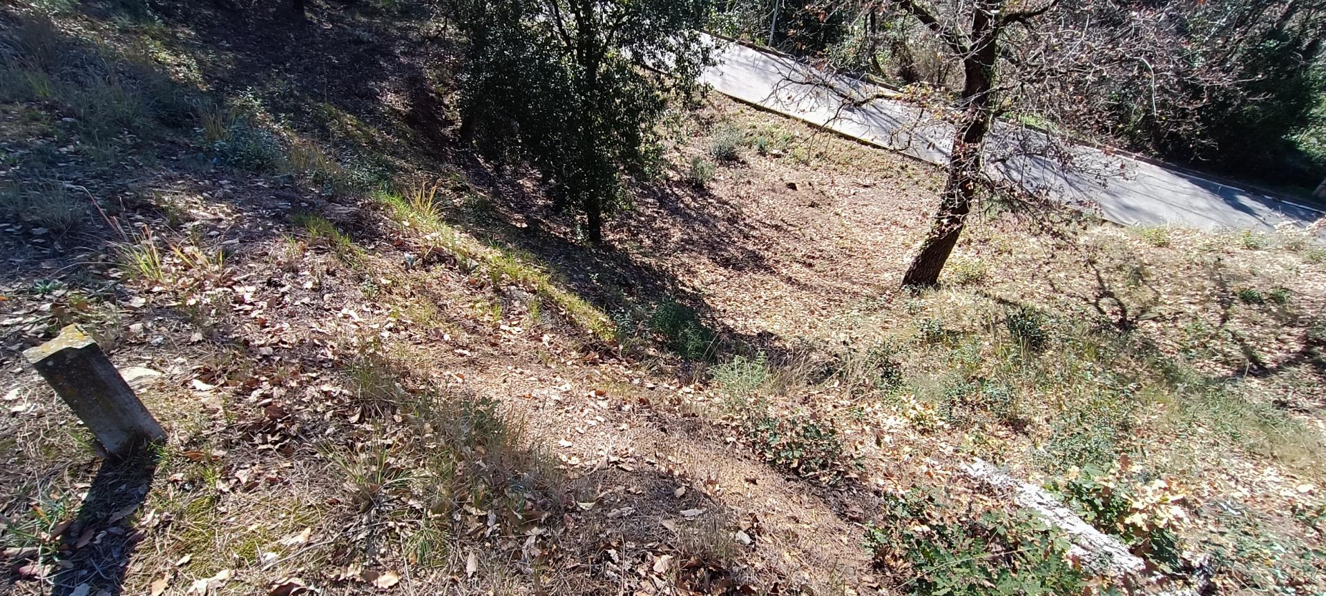 PARCELA PARA TORRE CUATRO VIENTOS