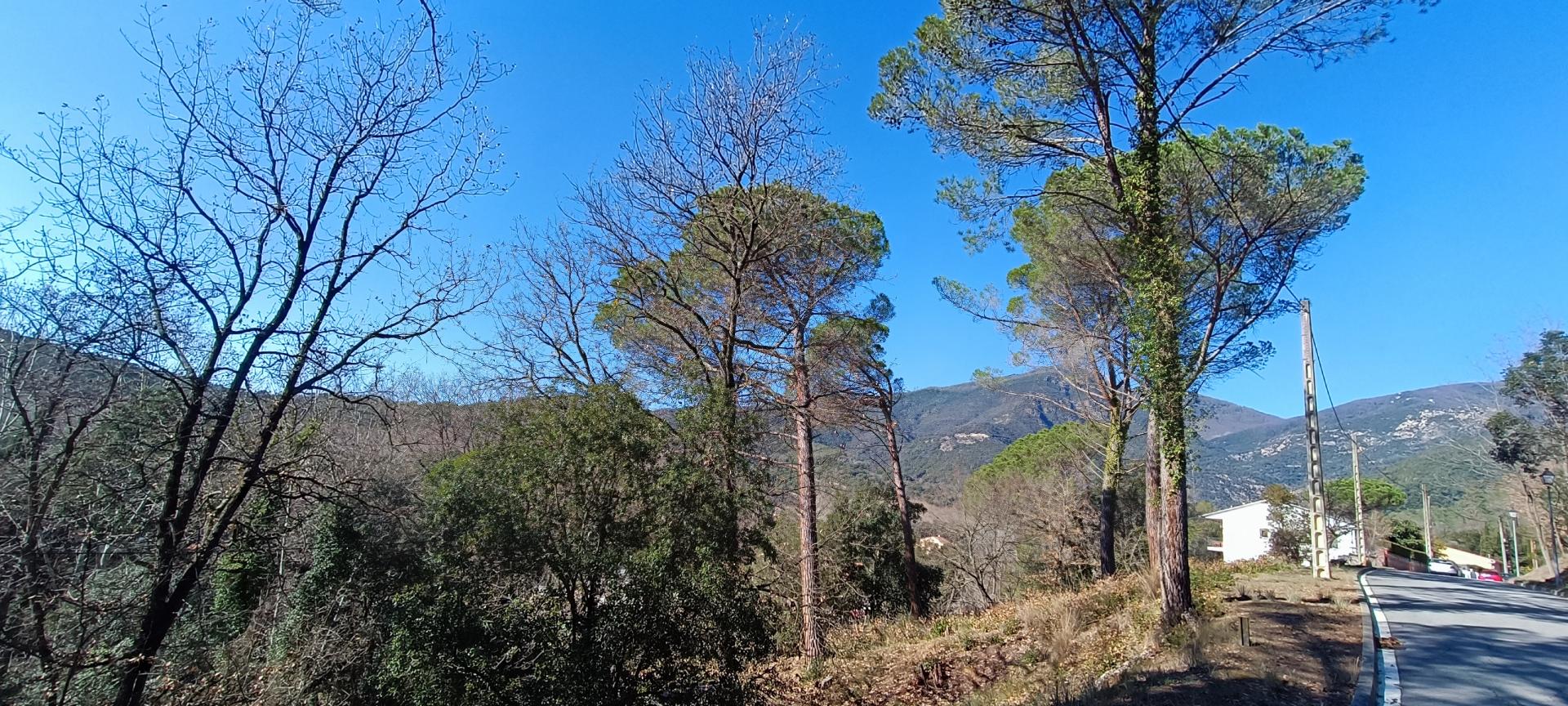PARCELA PARA TORRE CUATRO VIENTOS