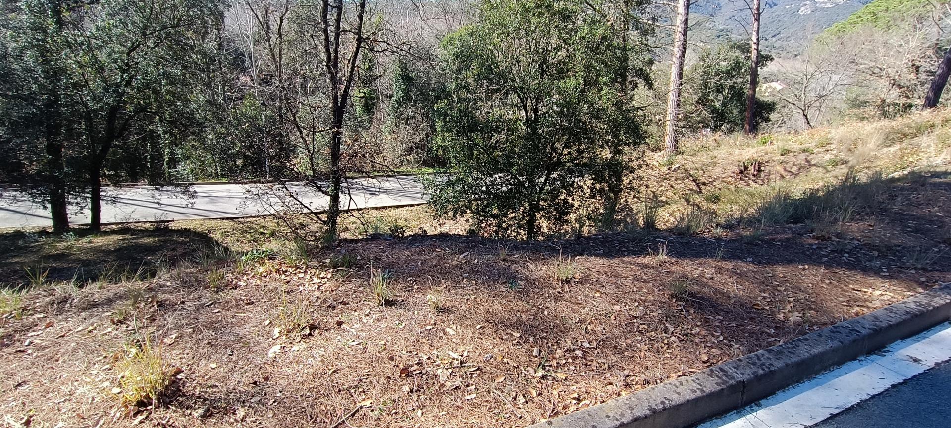 PARCELA PARA TORRE CUATRO VIENTOS