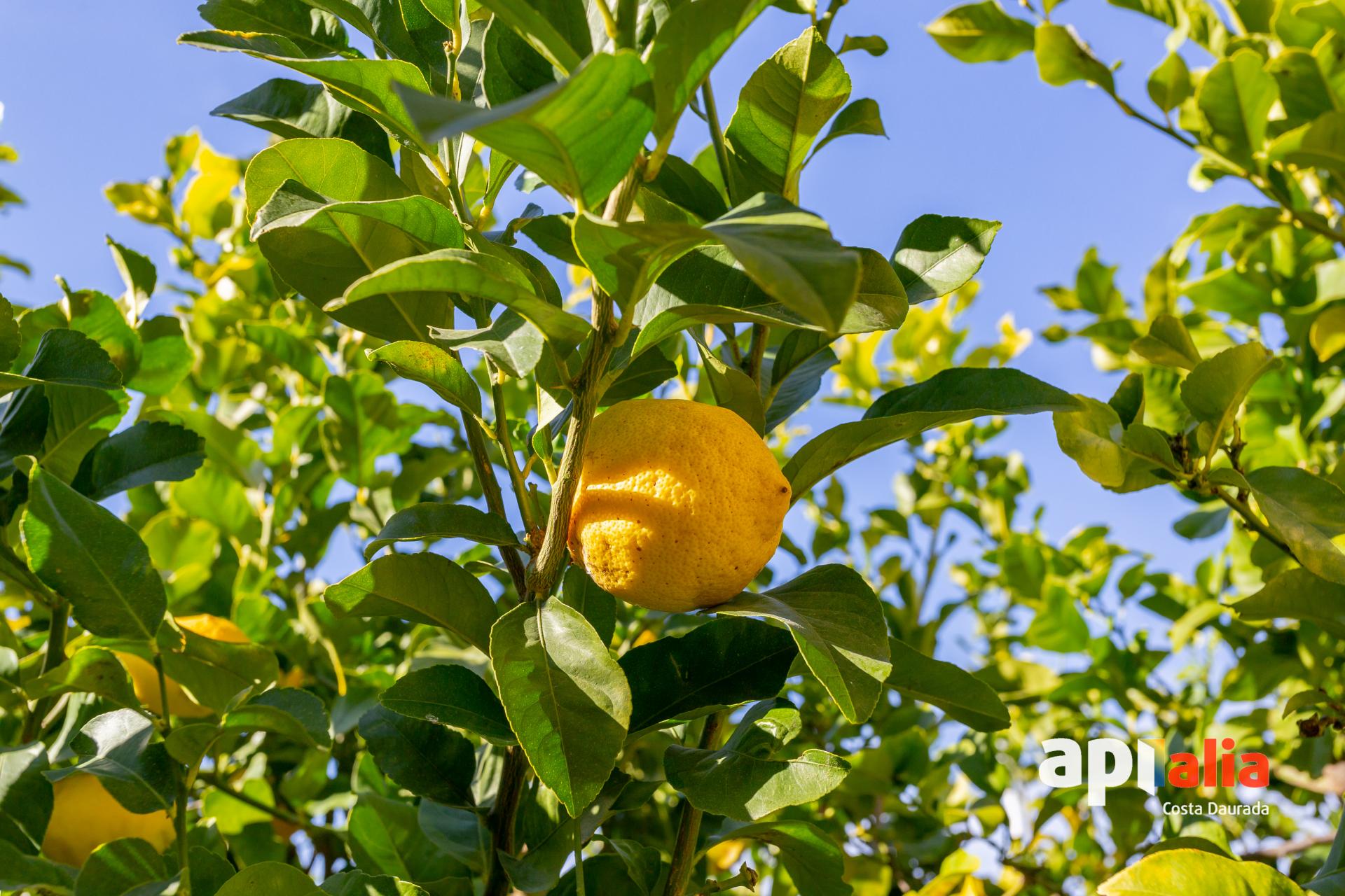 Casa en venta en Salou, Tarragona 56/57