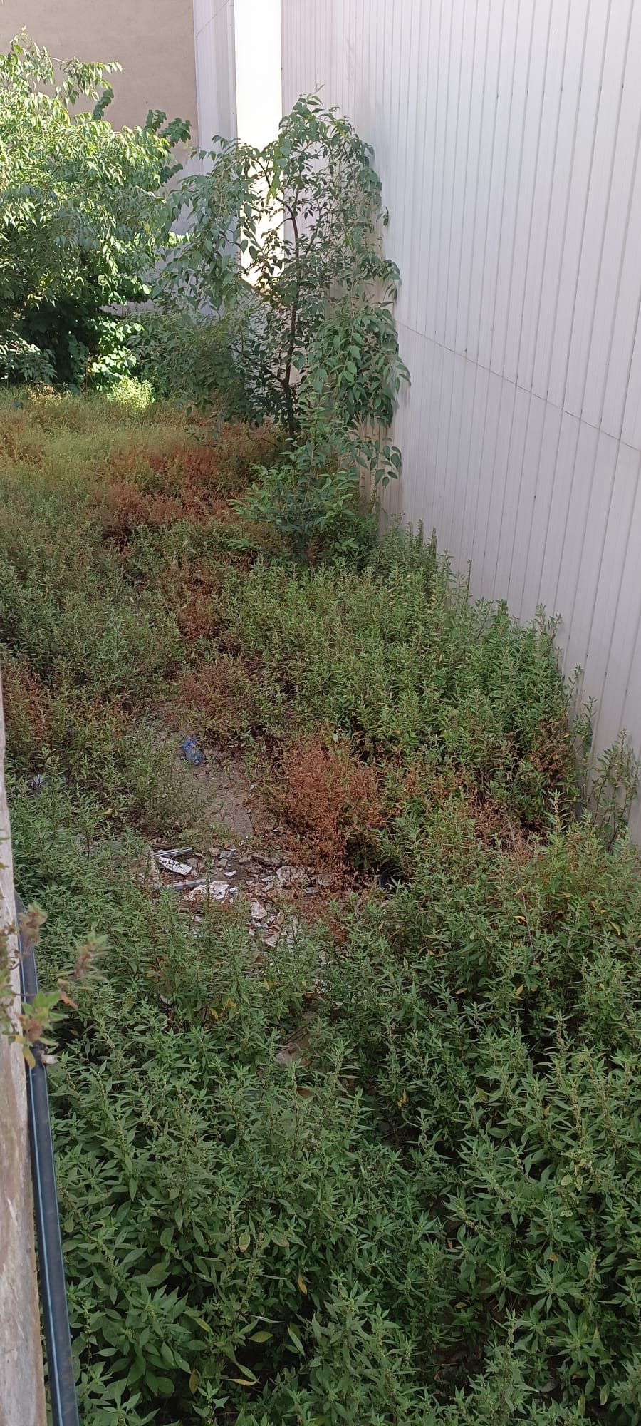 SANT CELONI CASA A REFORMAR AL BARRI DE LA FORÇA