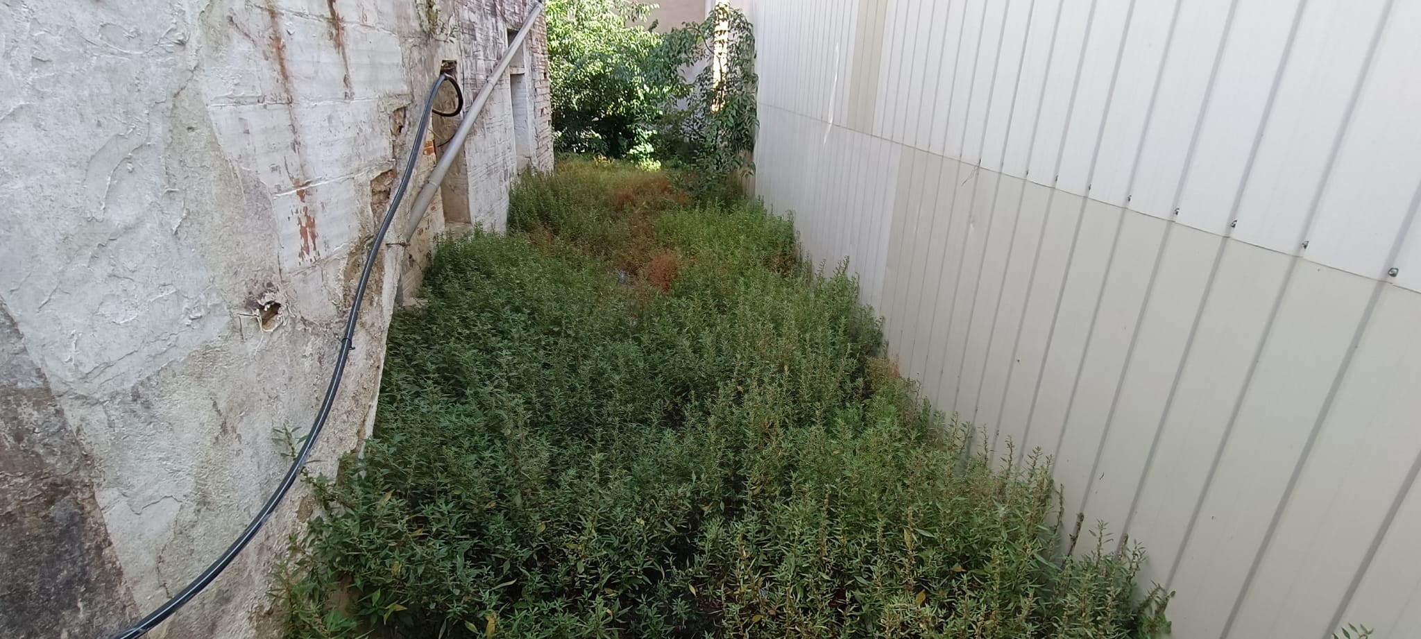 SANT CELONI CASA A REFORMAR AL BARRI DE LA FORÇA