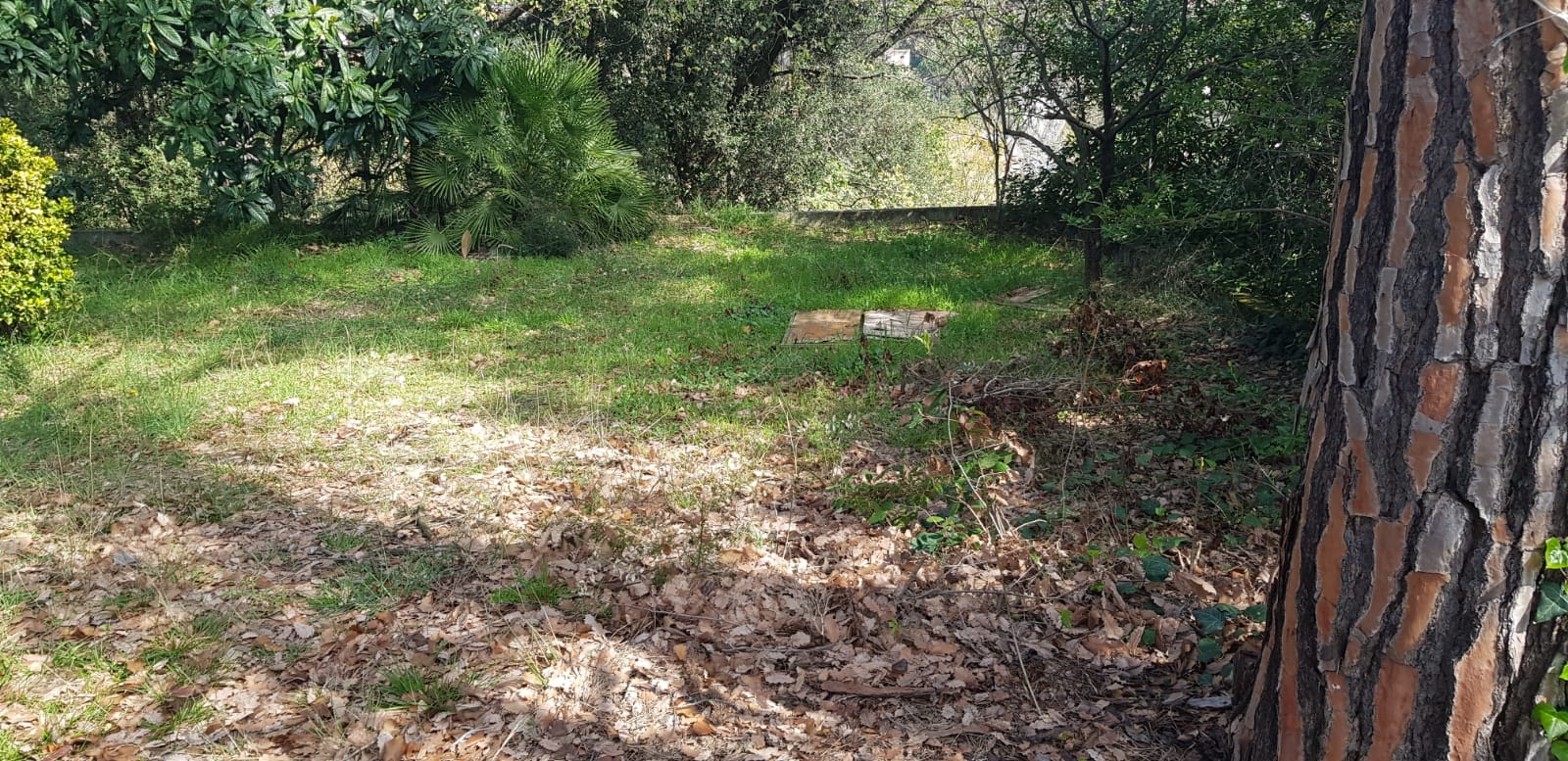 AMPLIA PARCEL·LA PER A TORRE QUATRE VENTS