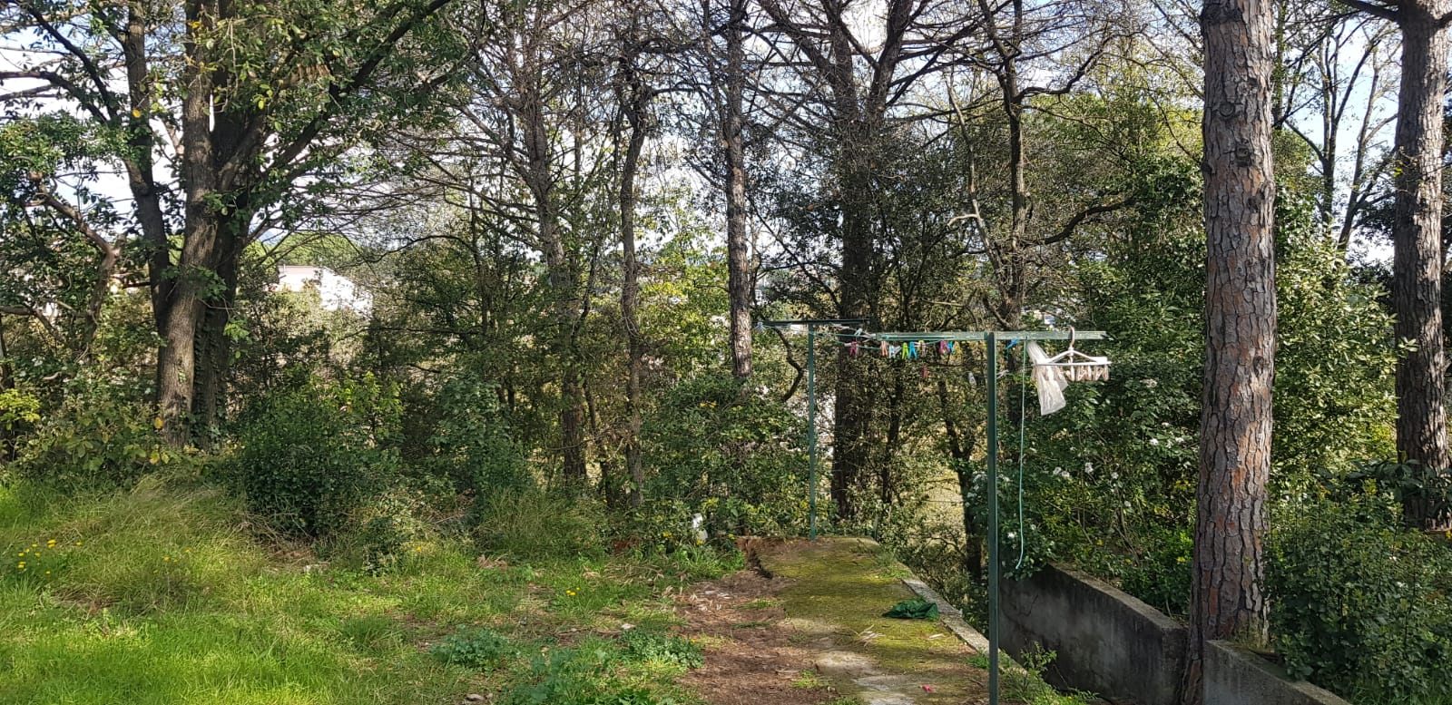 AMPLIA PARCEL·LA PER A TORRE QUATRE VENTS