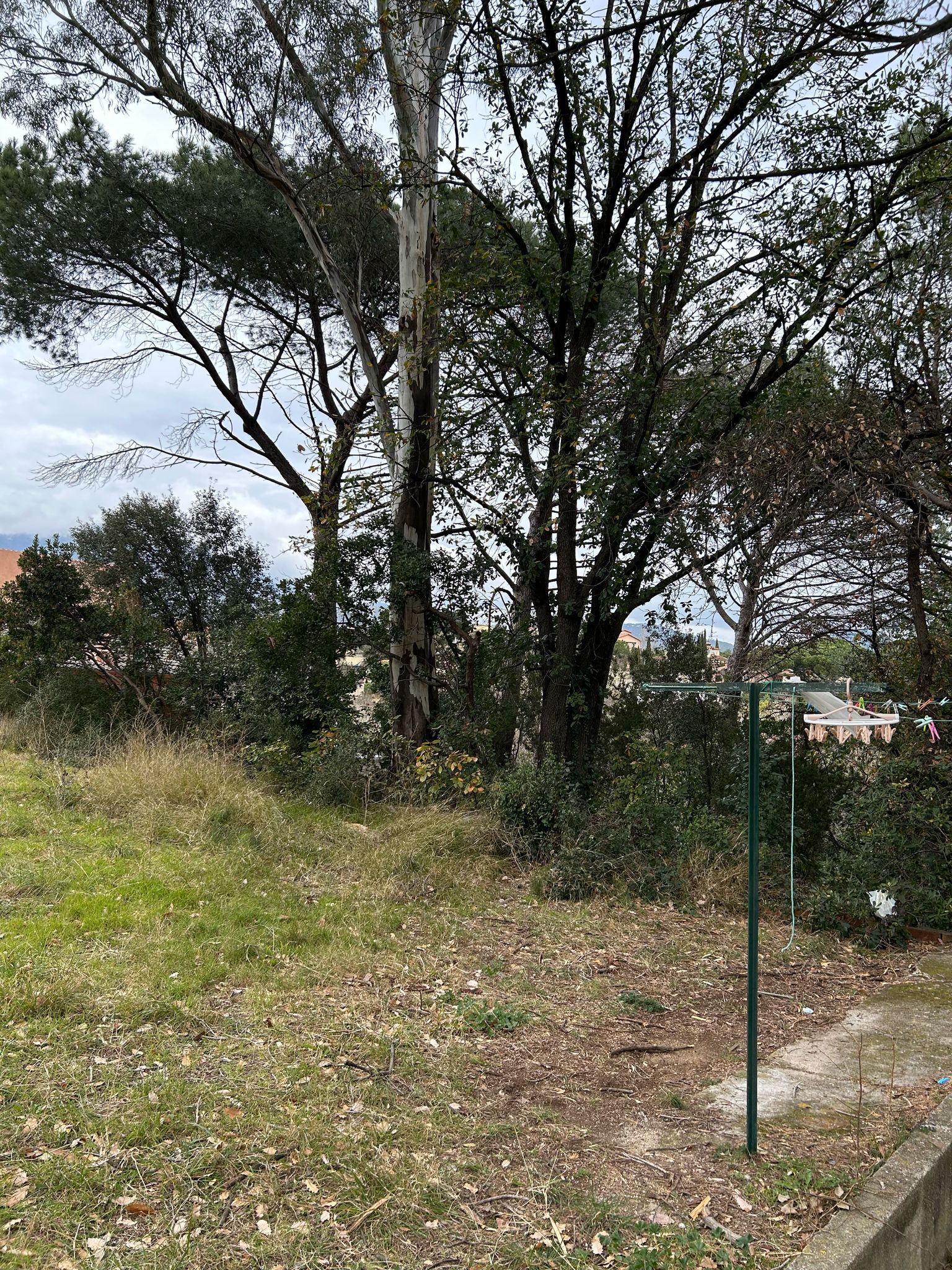 AMPLIA PARCEL·LA PER A TORRE QUATRE VENTS