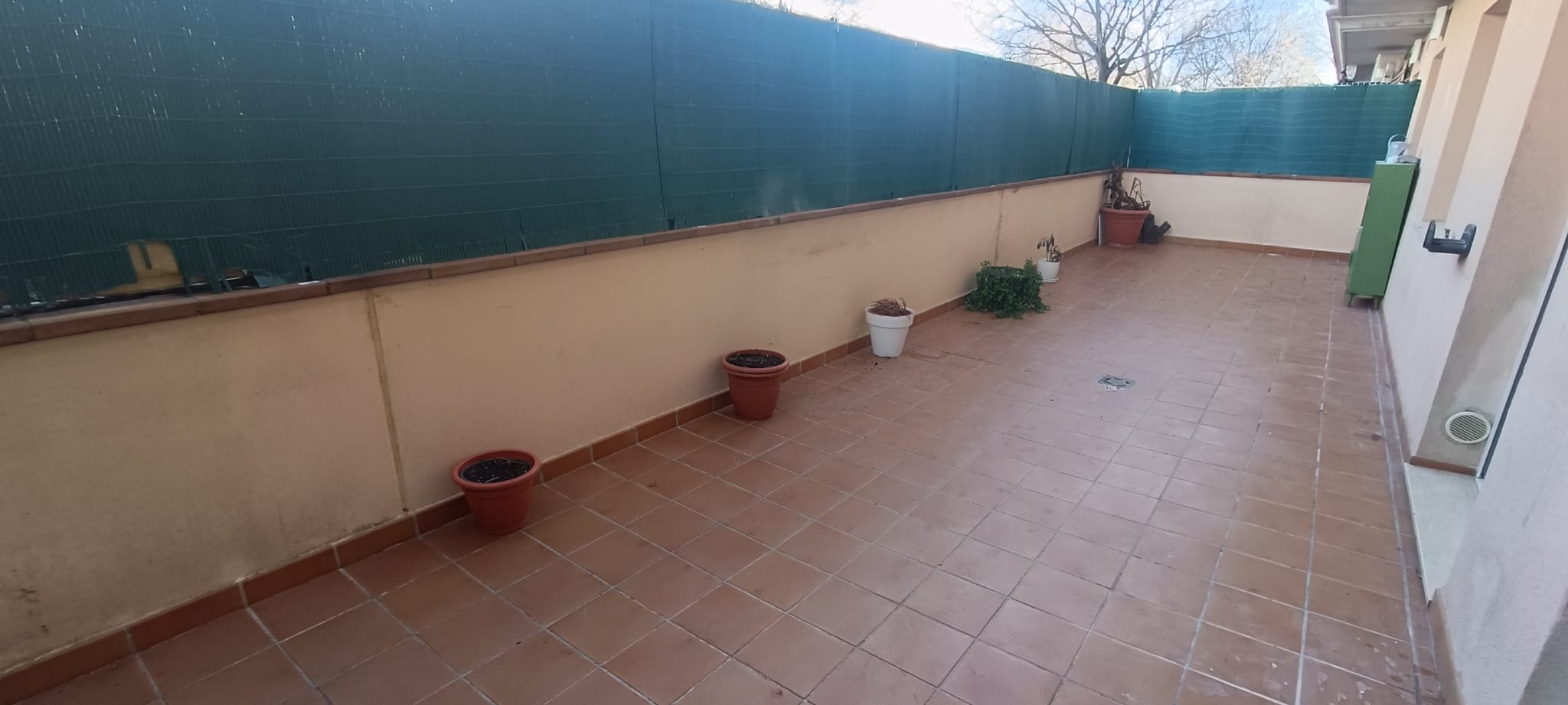 PLANTA BAIXA AMB GRAN PATI