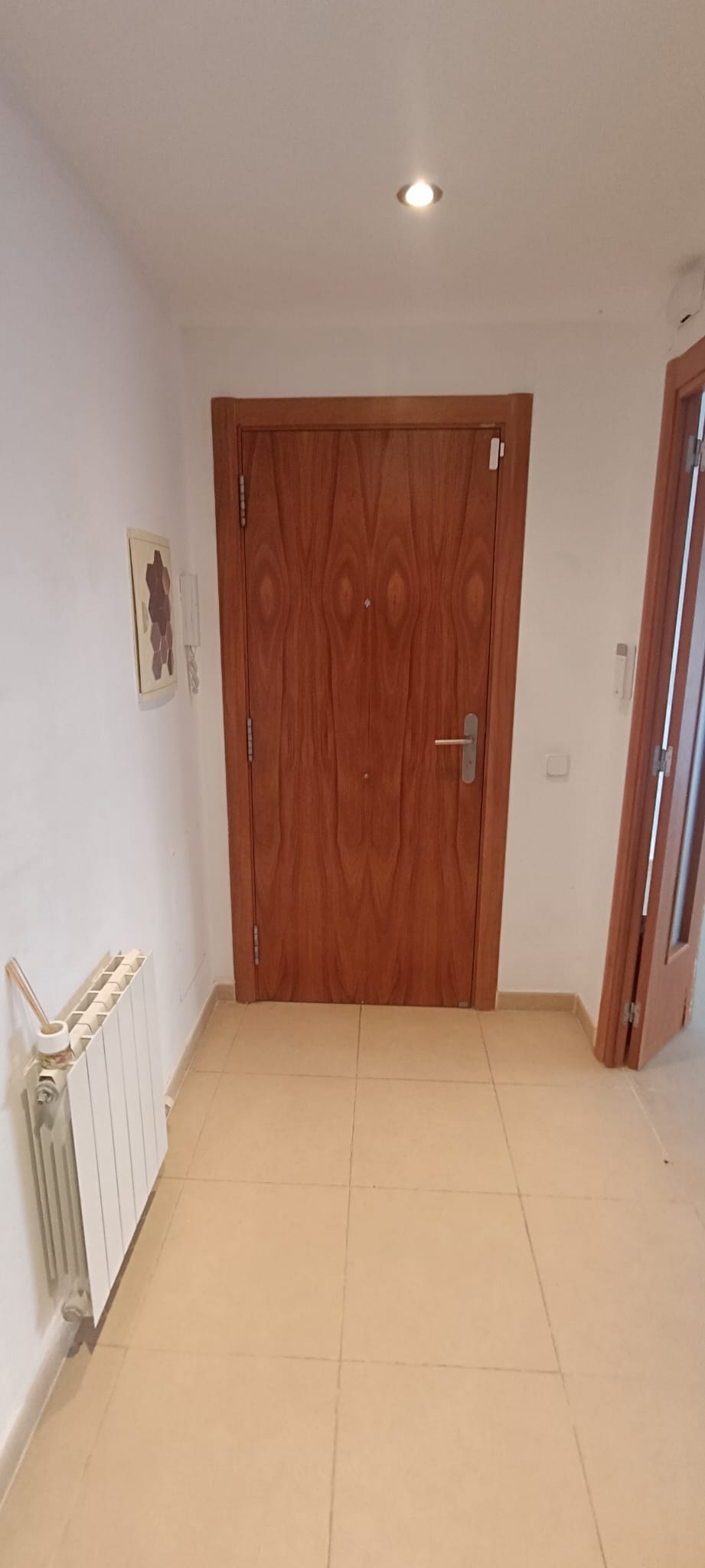 PLANTA BAIXA AMB GRAN PATI