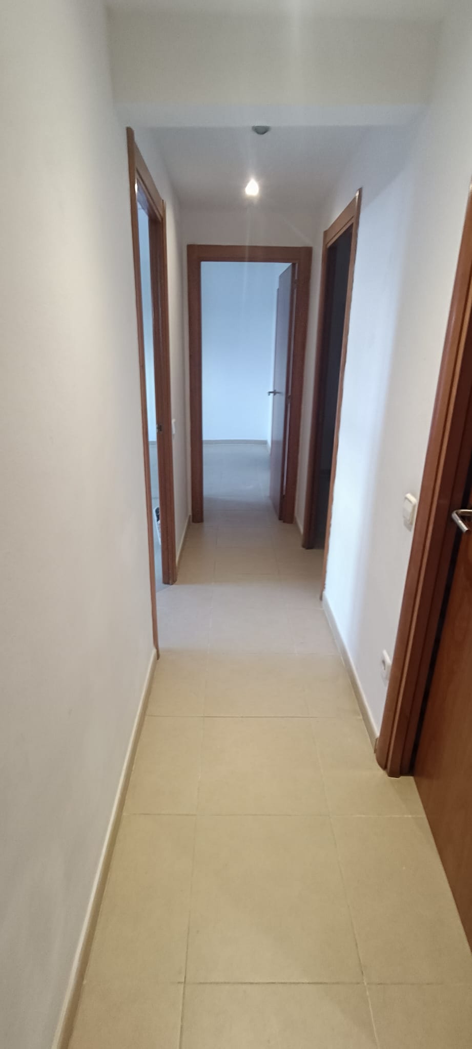 PLANTA BAIXA AMB GRAN PATI