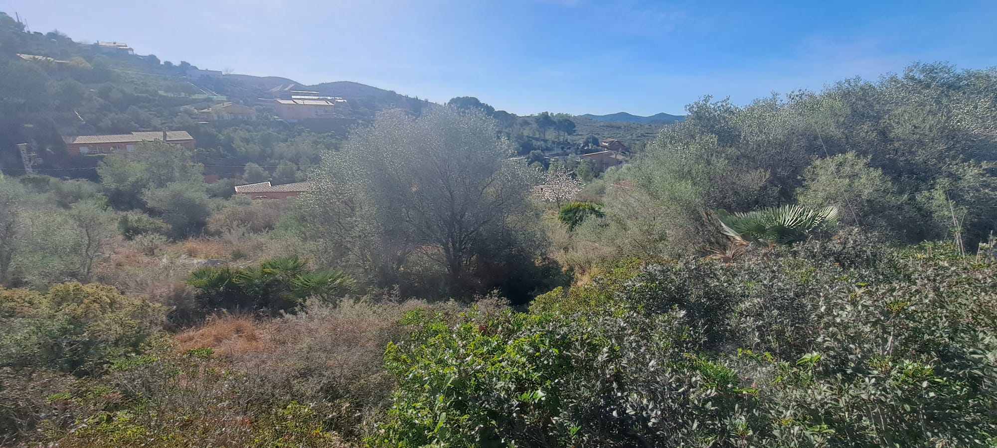 spañol
Inglés
Italiano
Catalán
Francés
Ruso
Holandés
Noruego
Finés
Alemán
Sueco
Revista
Parcela urbanizable de 1.001 m  en Palau Novella   Vistas abiertas al Parque del Garraf