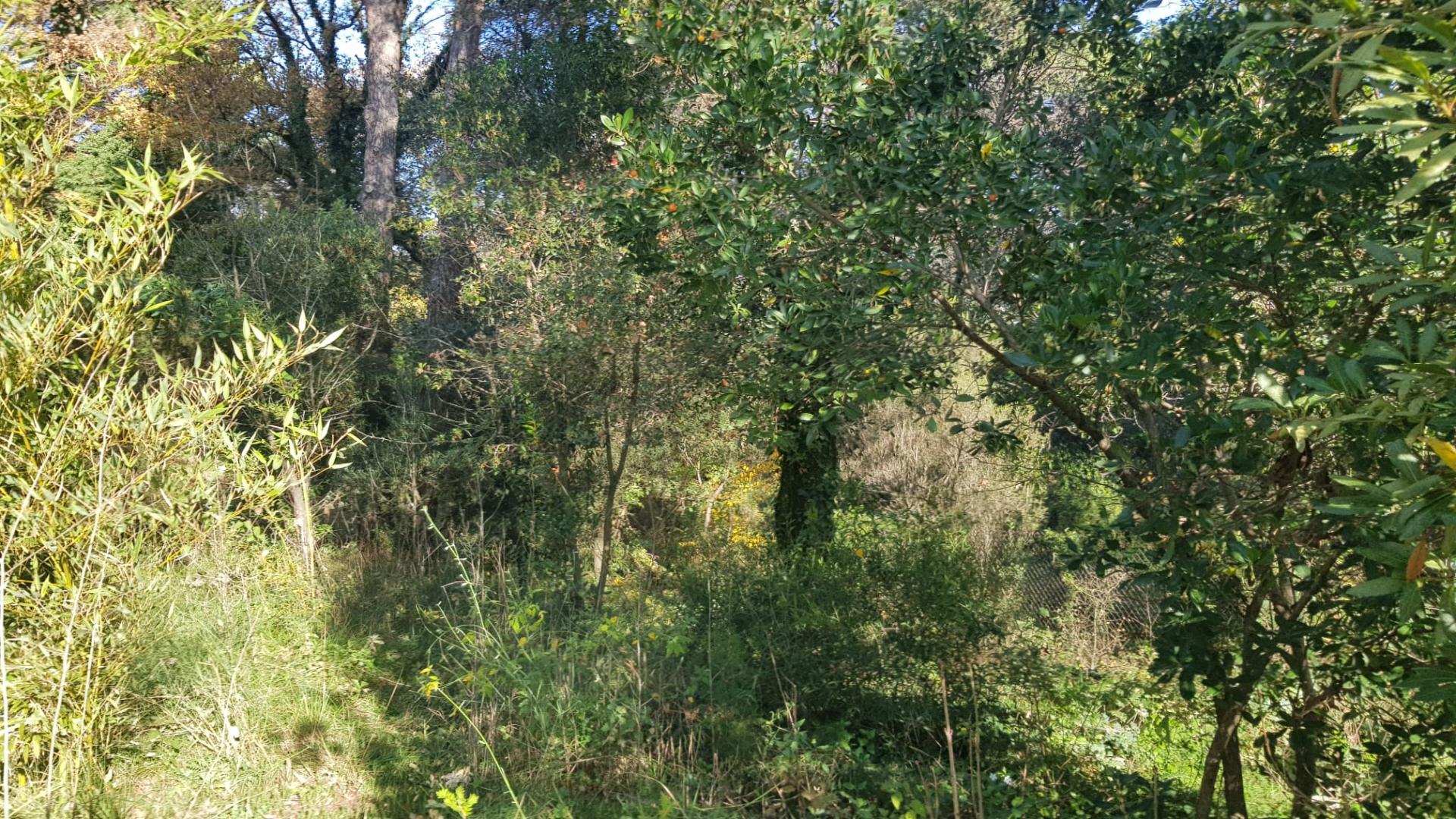 TORRE A CUATRO VIENTOS CON MUCHO ENCANTO