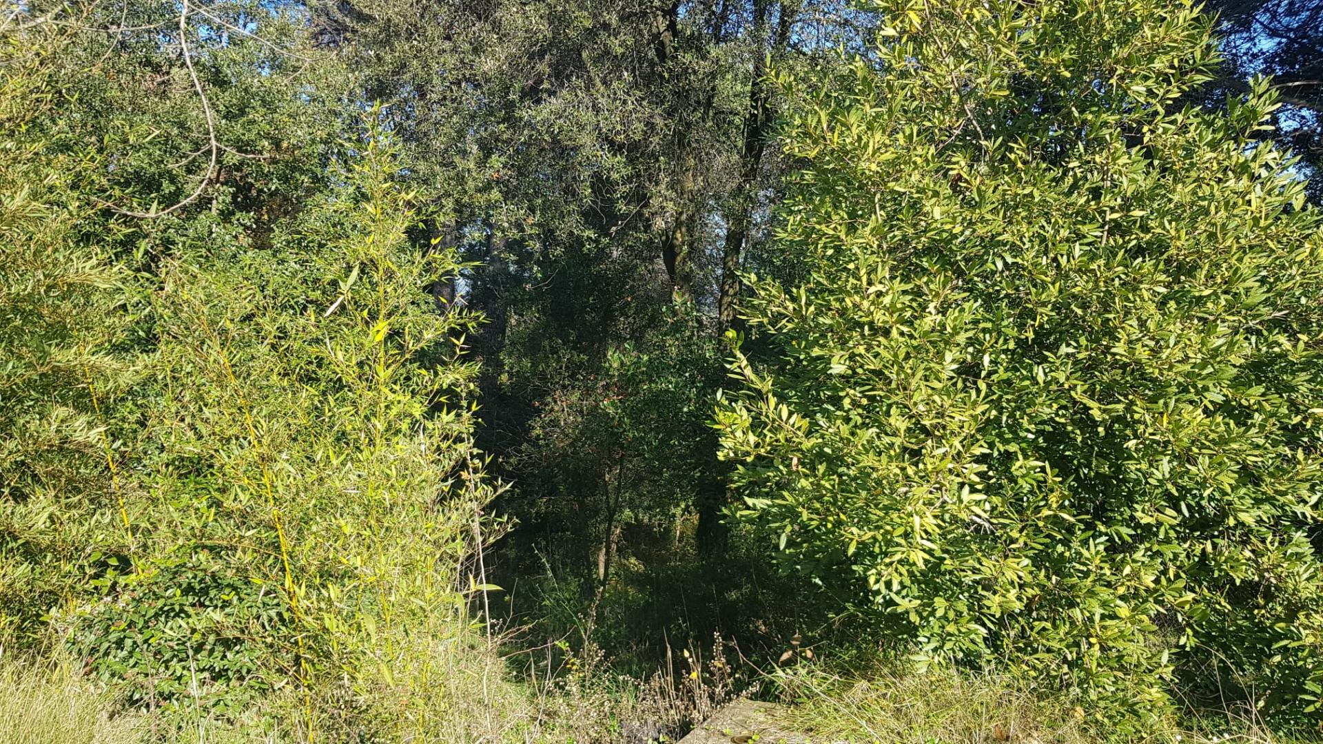 TORRE A CUATRO VIENTOS CON MUCHO ENCANTO