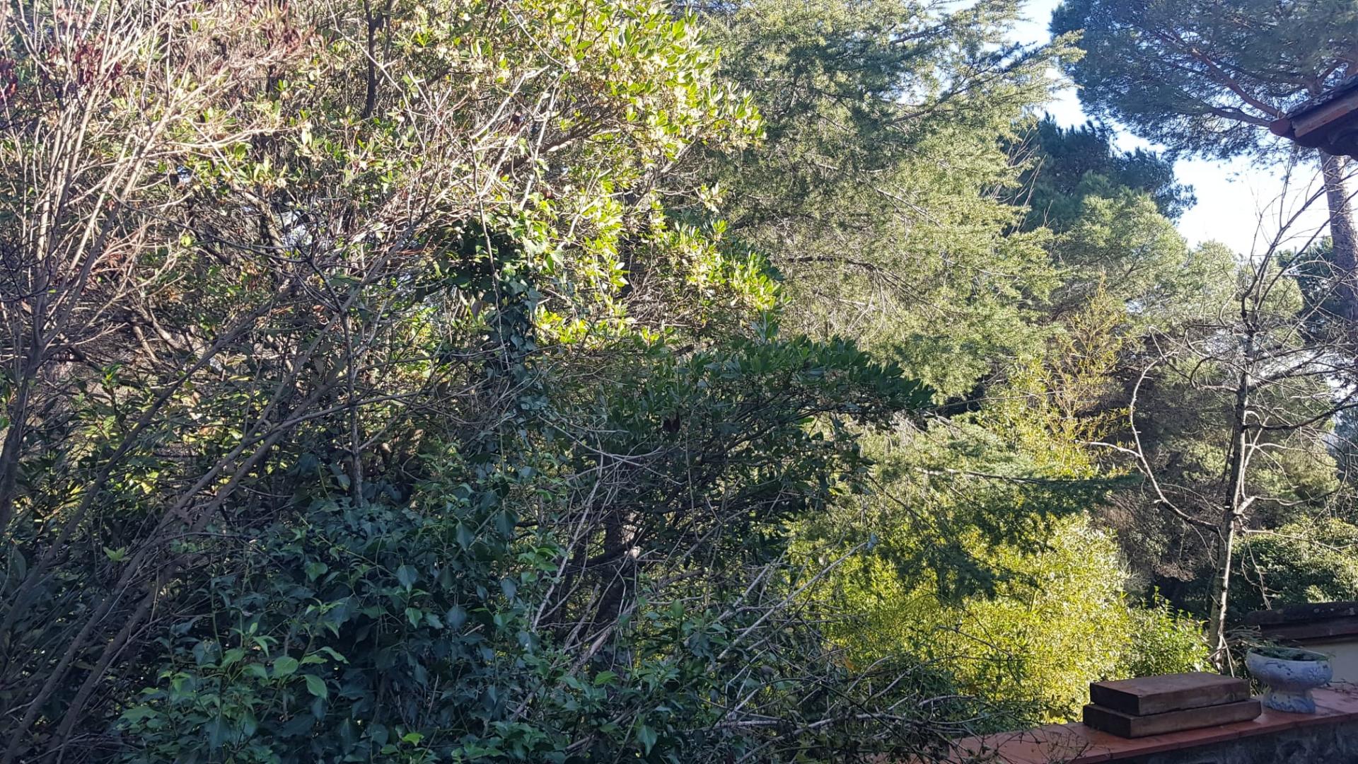 TORRE A CUATRO VIENTOS CON MUCHO ENCANTO