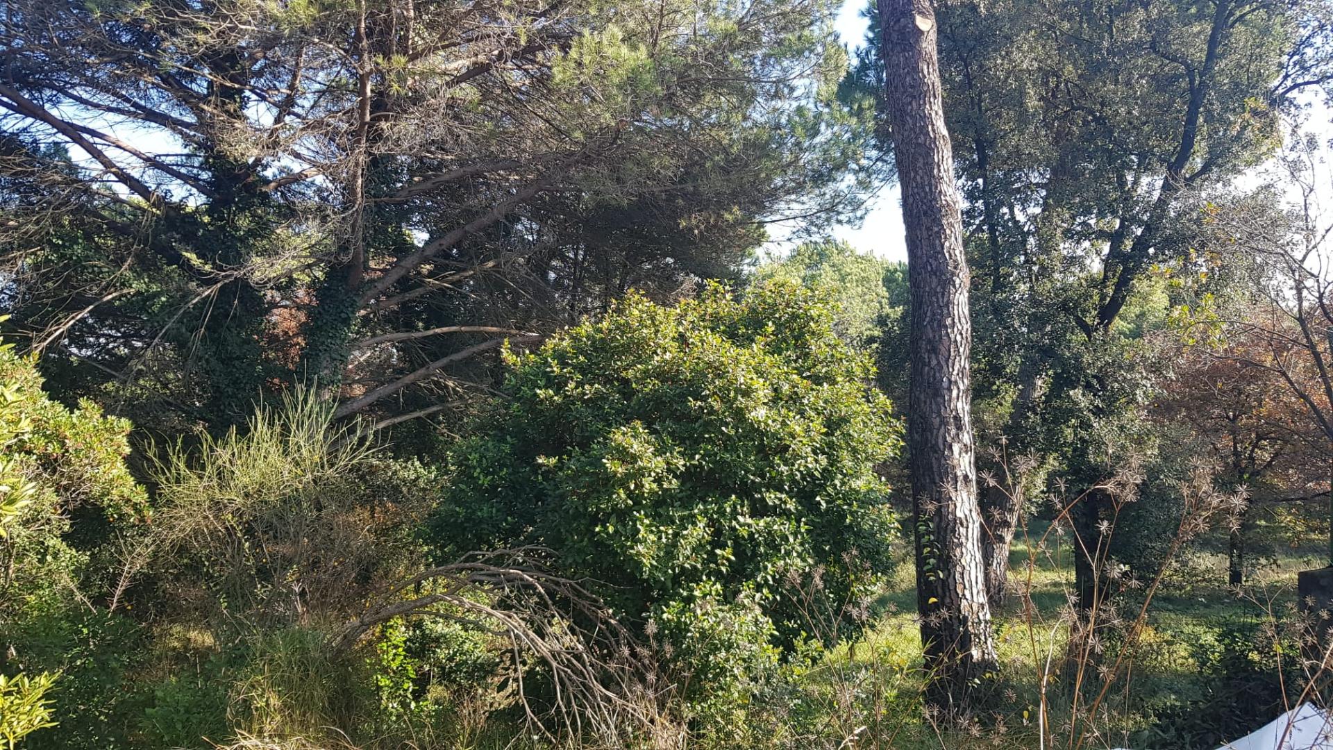 TORRE A QUATRE VENTS AMB MOLT D’ENCANT