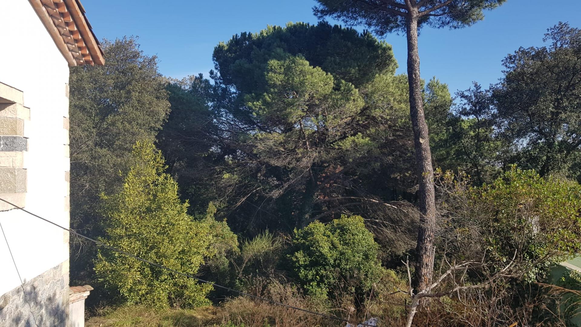 TORRE A QUATRE VENTS AMB MOLT D’ENCANT