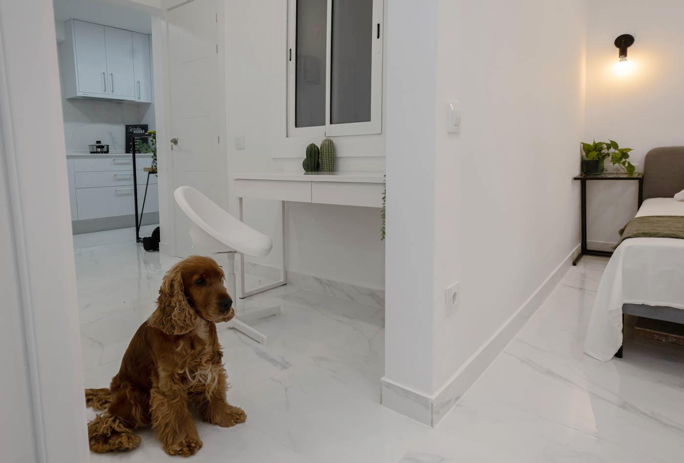 Elegante apartamento de diseño junto a Sant Antoni  ...